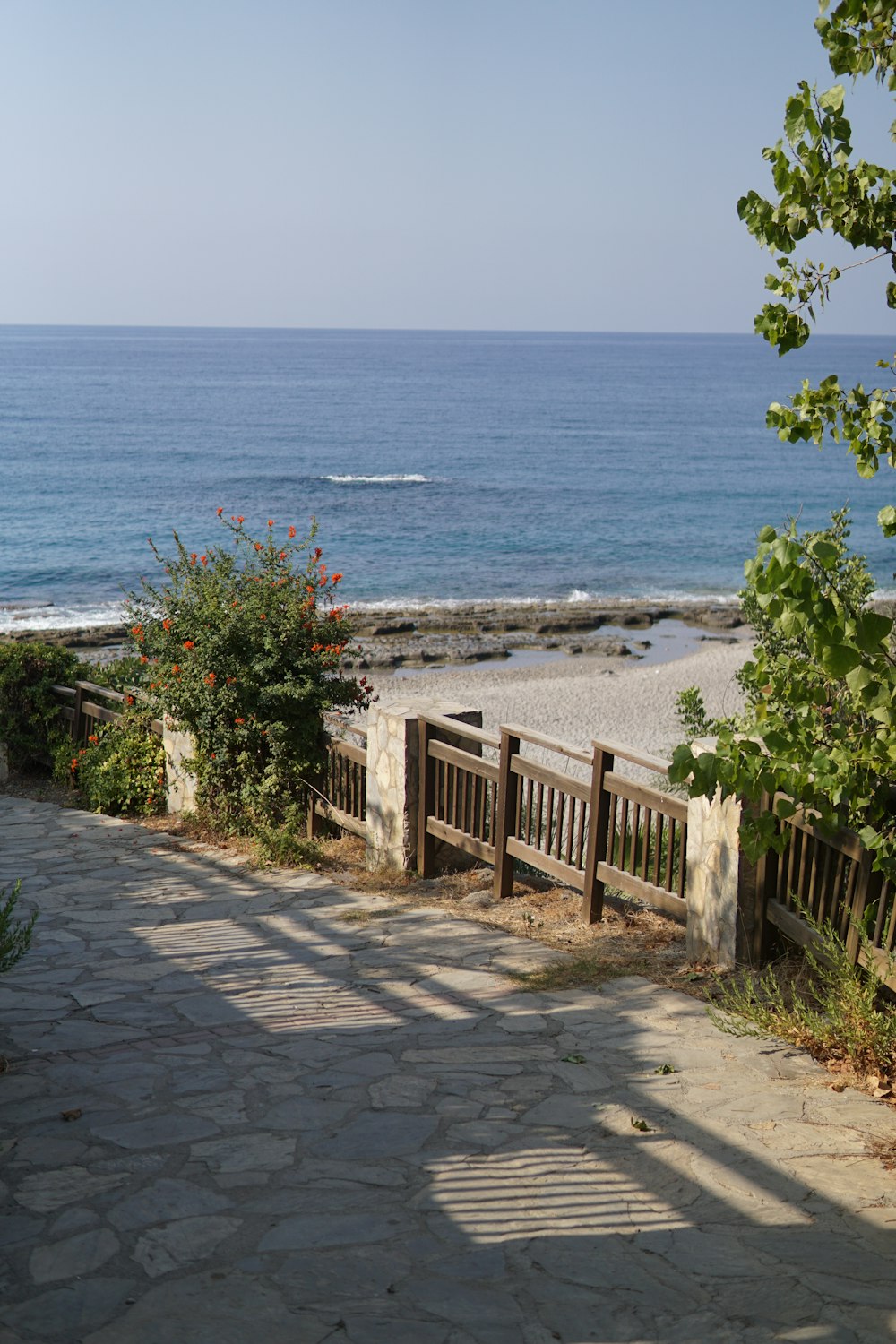 alberi verdi sulla riva della spiaggia durante il giorno