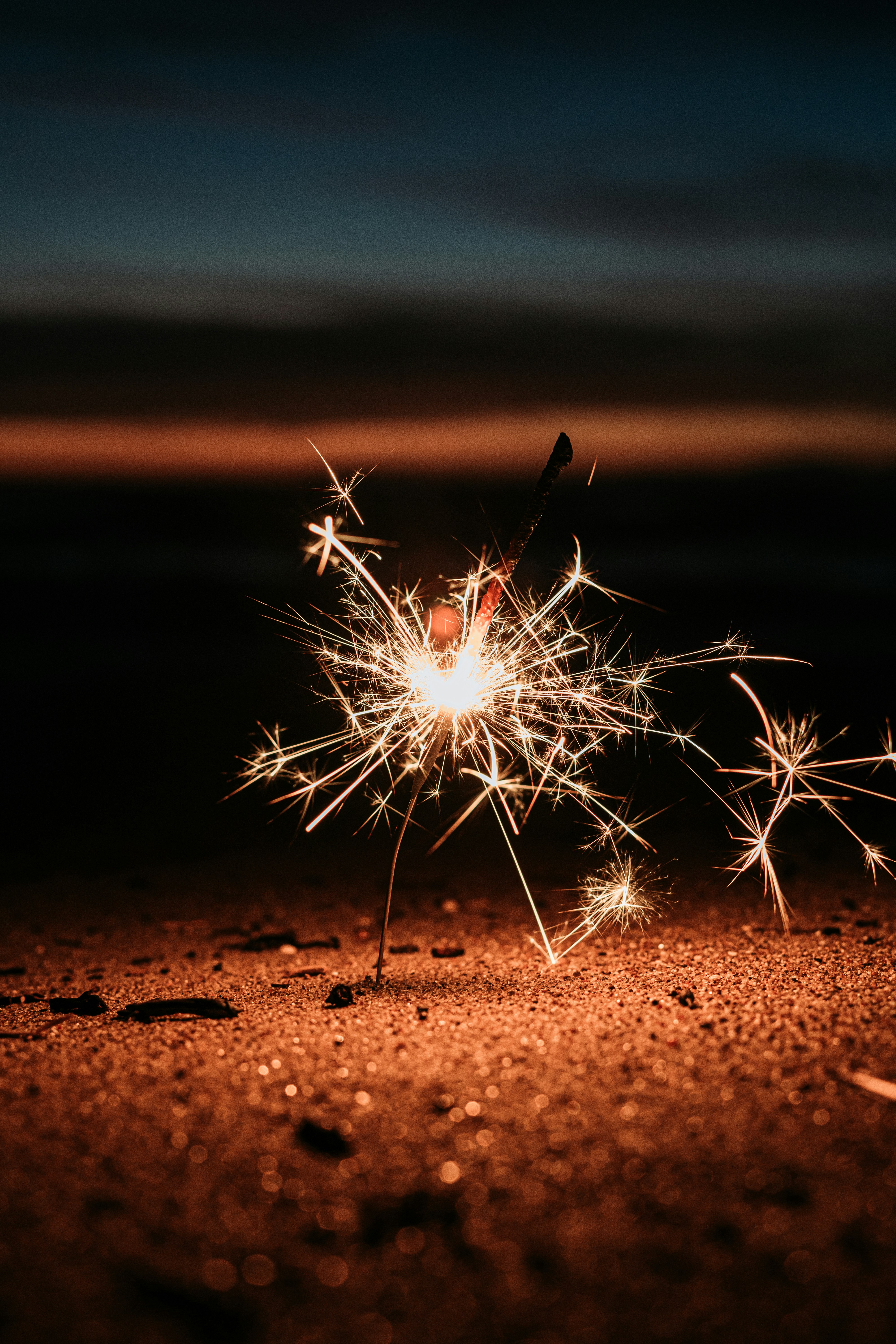 昼間の茶色の砂の上の白いタンポポの写真 Unsplashで見つけるライトの無料写真