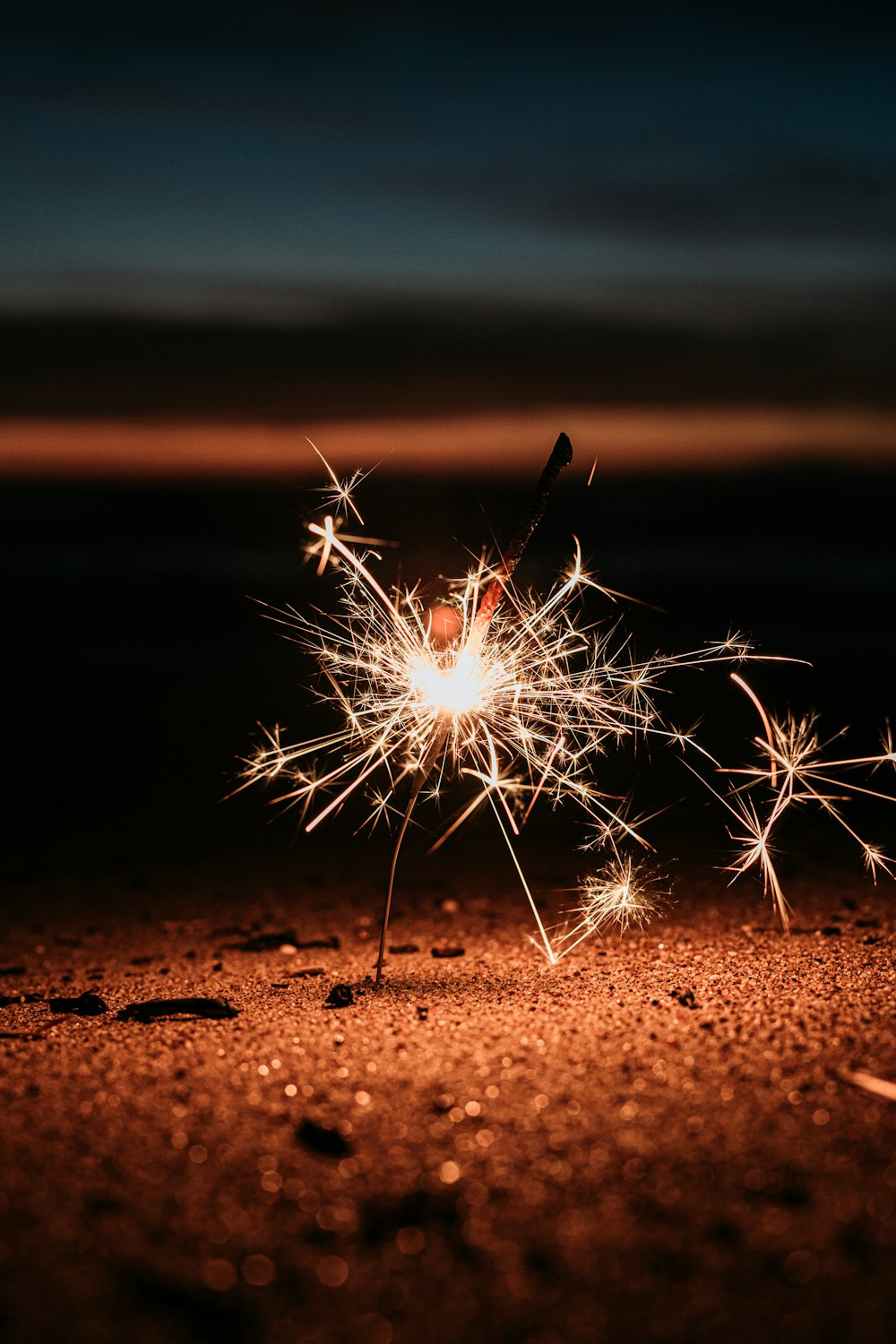 white dandelion on brown sand during daytime