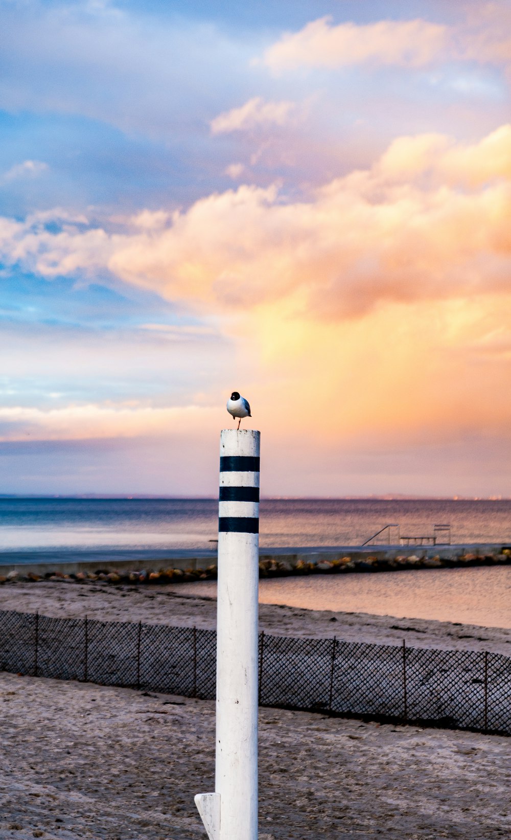 white and black lighthouse near sea during daytime