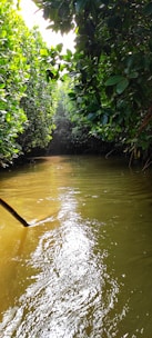A serene boat gliding through dense mangrove forests at sunrise, birds flying overhead.