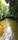 Couple paddling through lush mangroves with sunlight filtering through the leaves.