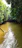 Couple paddling through lush mangroves with sunlight filtering through the leaves.