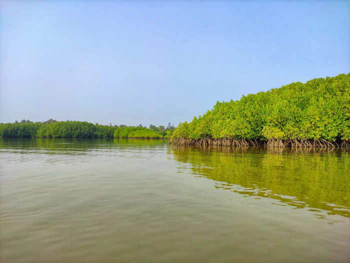 Panchamukhani