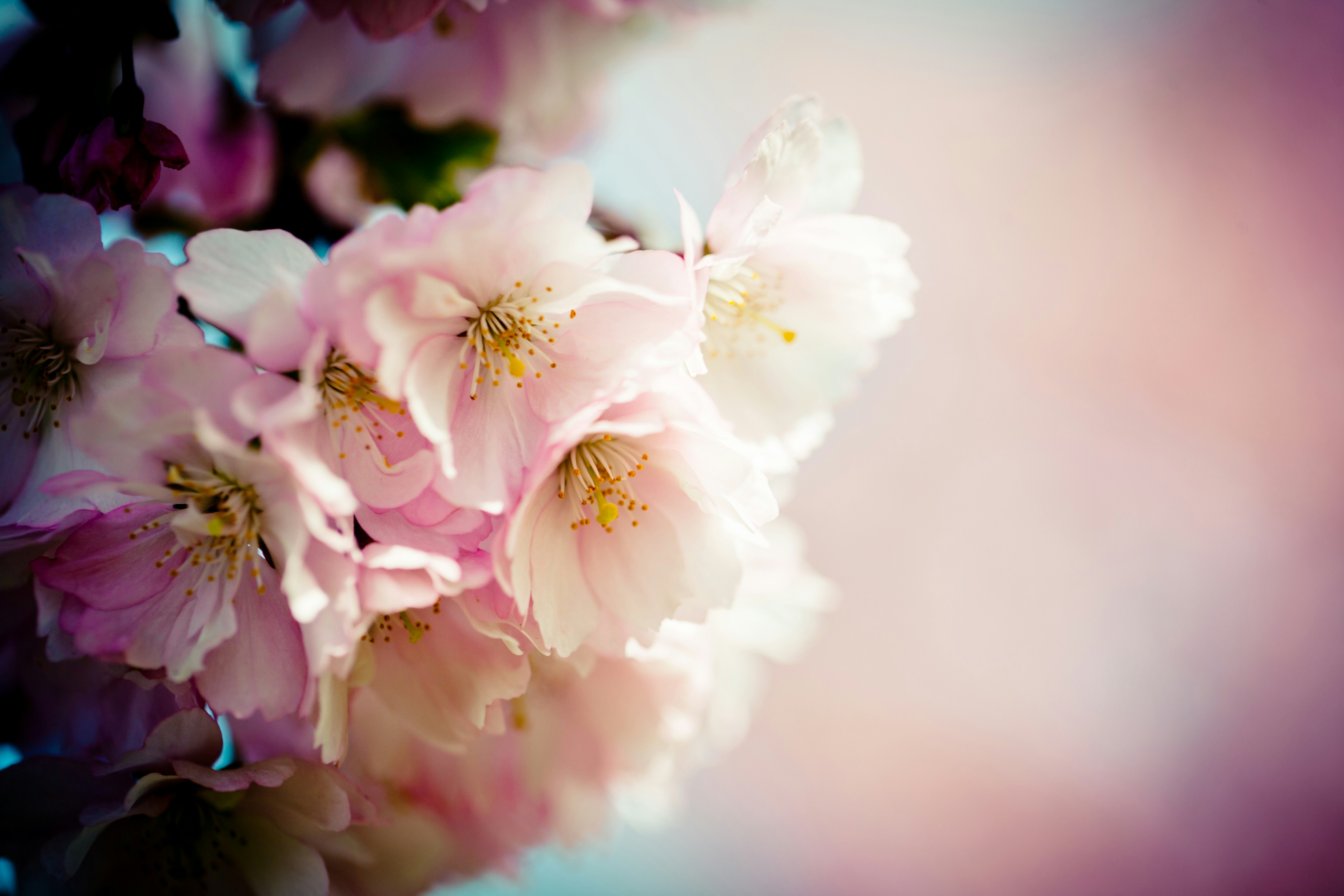 Photo by raimondklavins