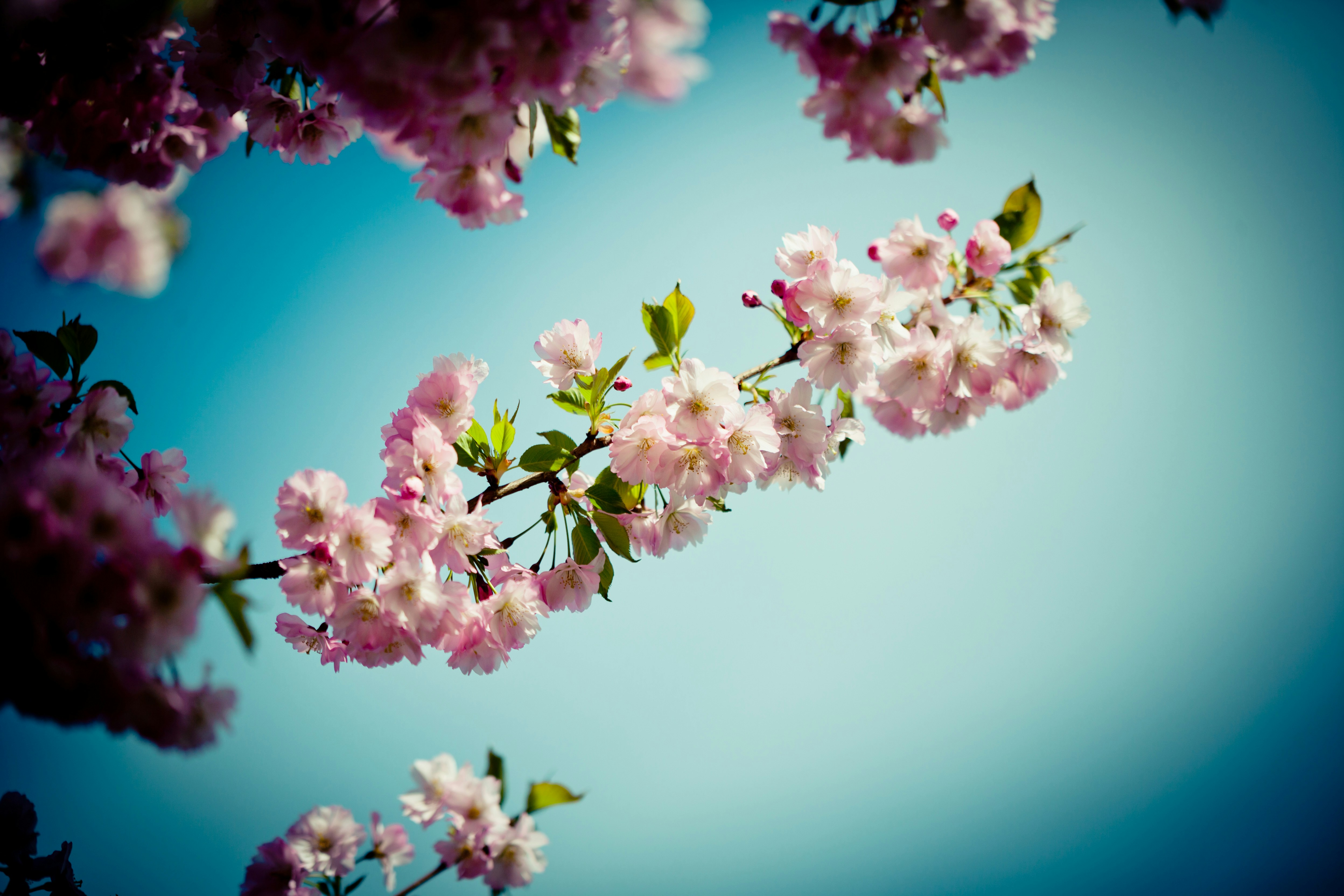 Photo by raimondklavins