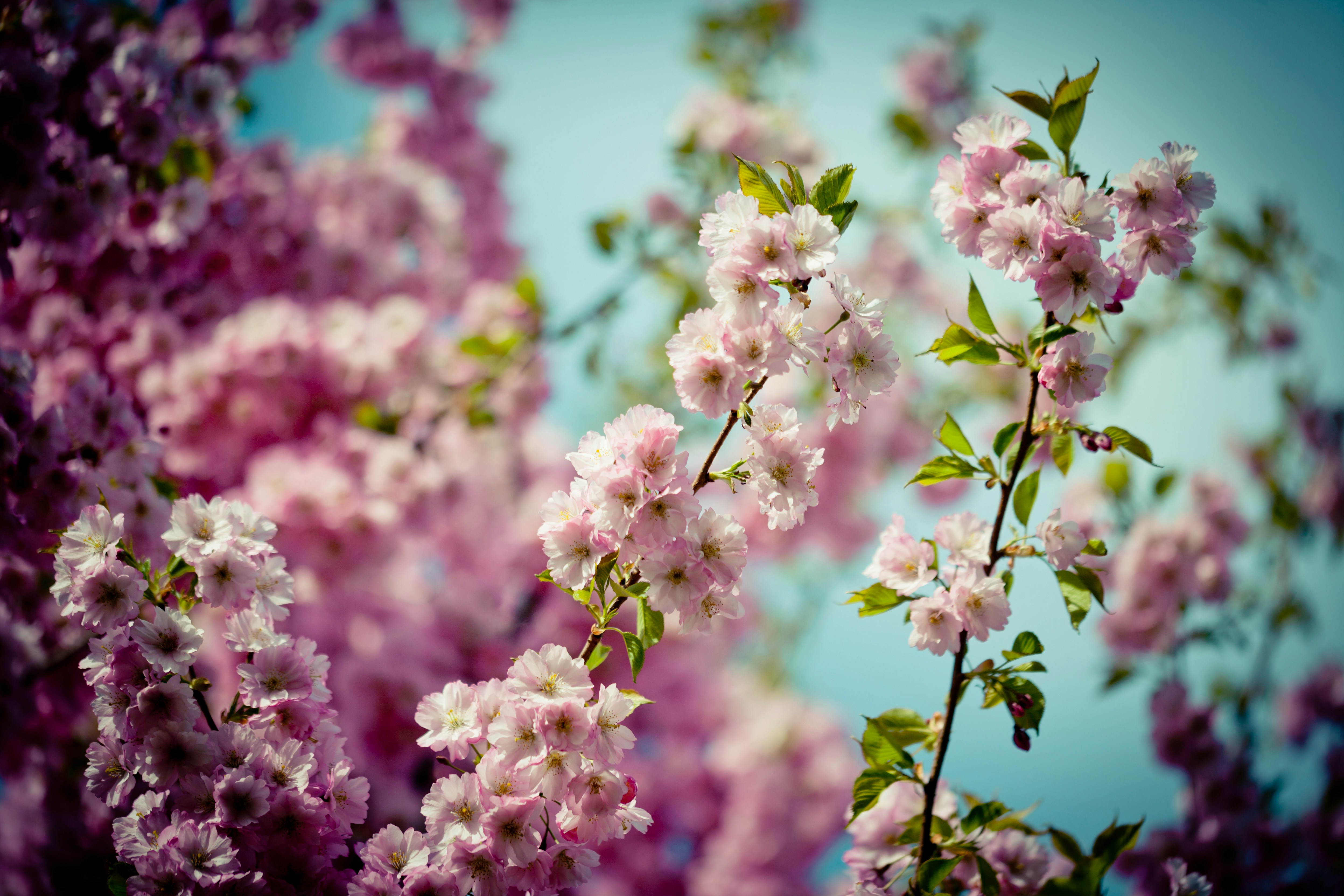 Photo by raimondklavins