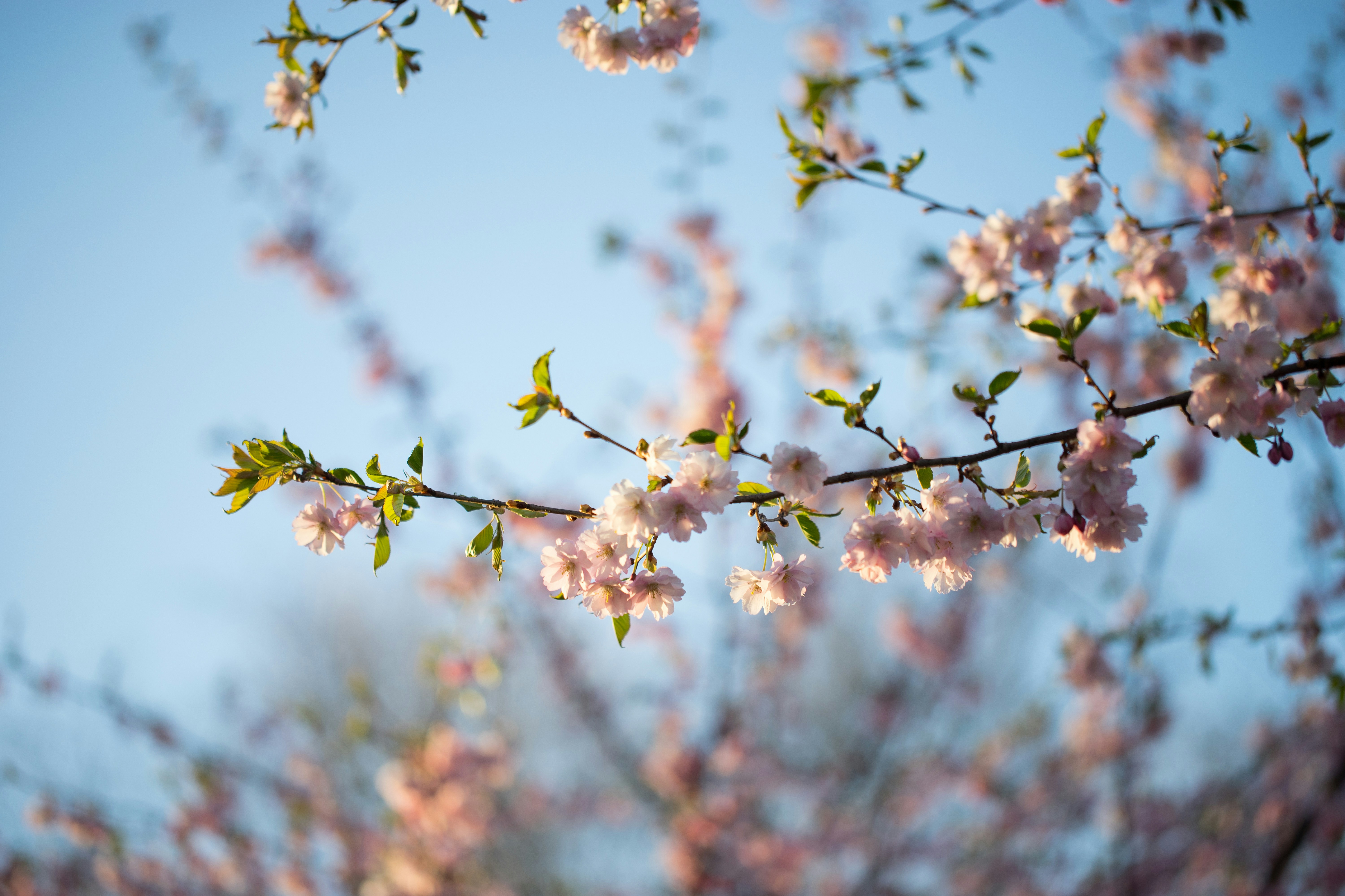 Photo by raimondklavins