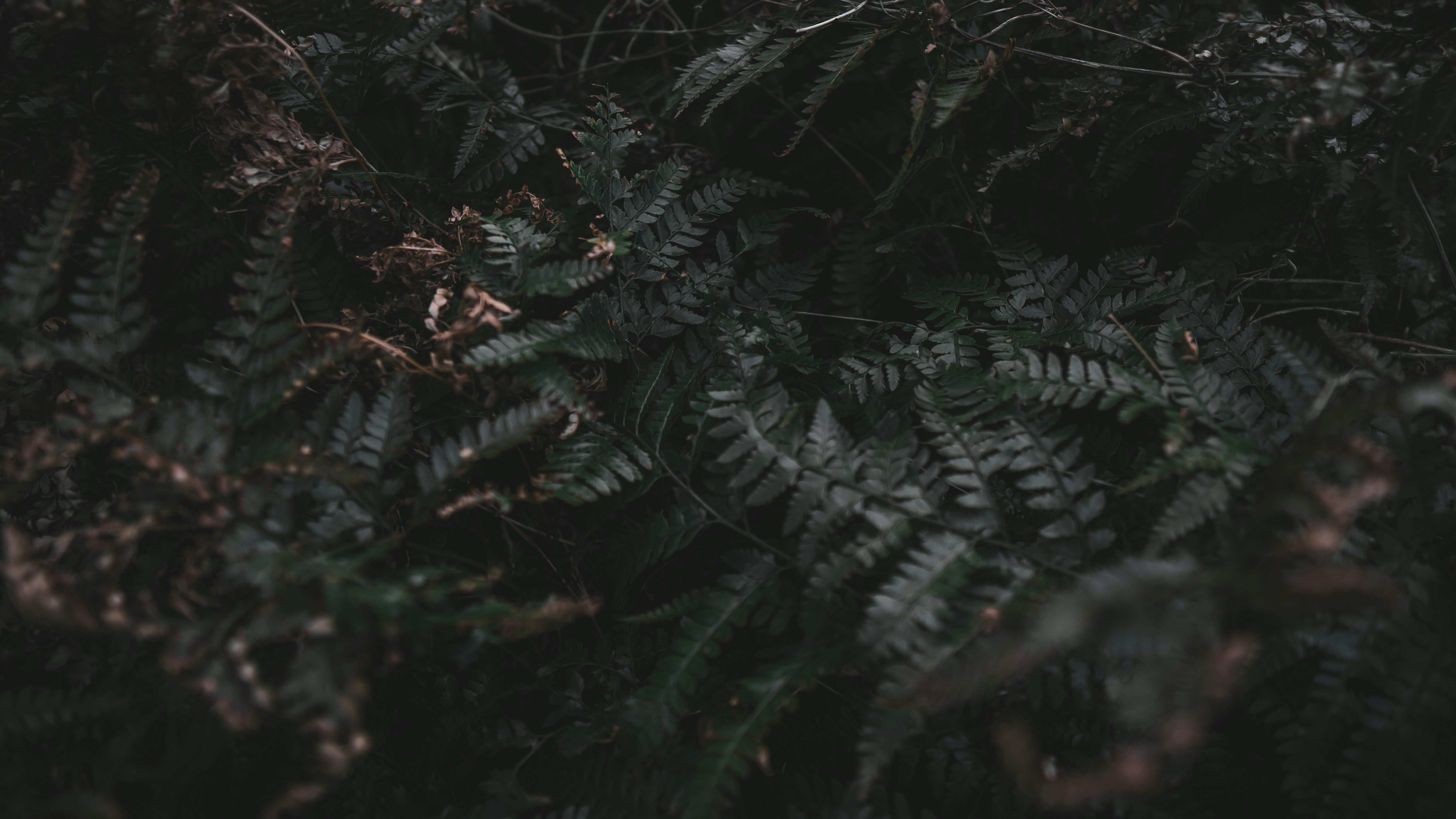 Photo by sylvestercao