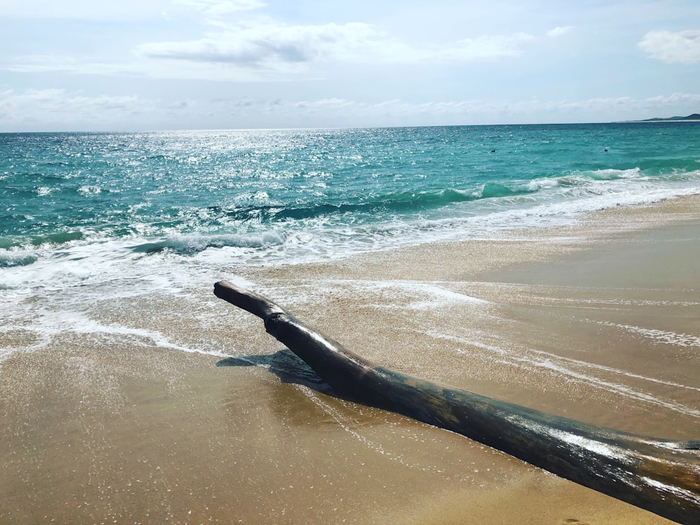 black wooden stick on beach during daytime