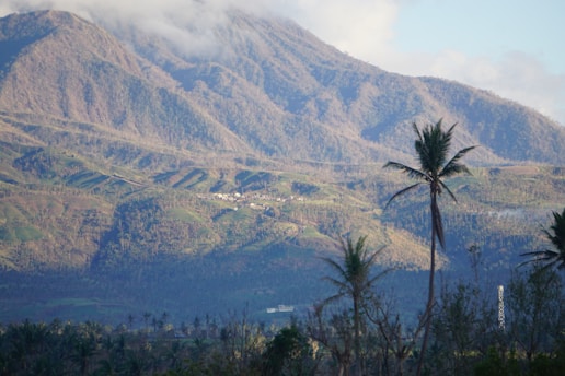A beautiful landscape of Bajo Baudó, Chocó.