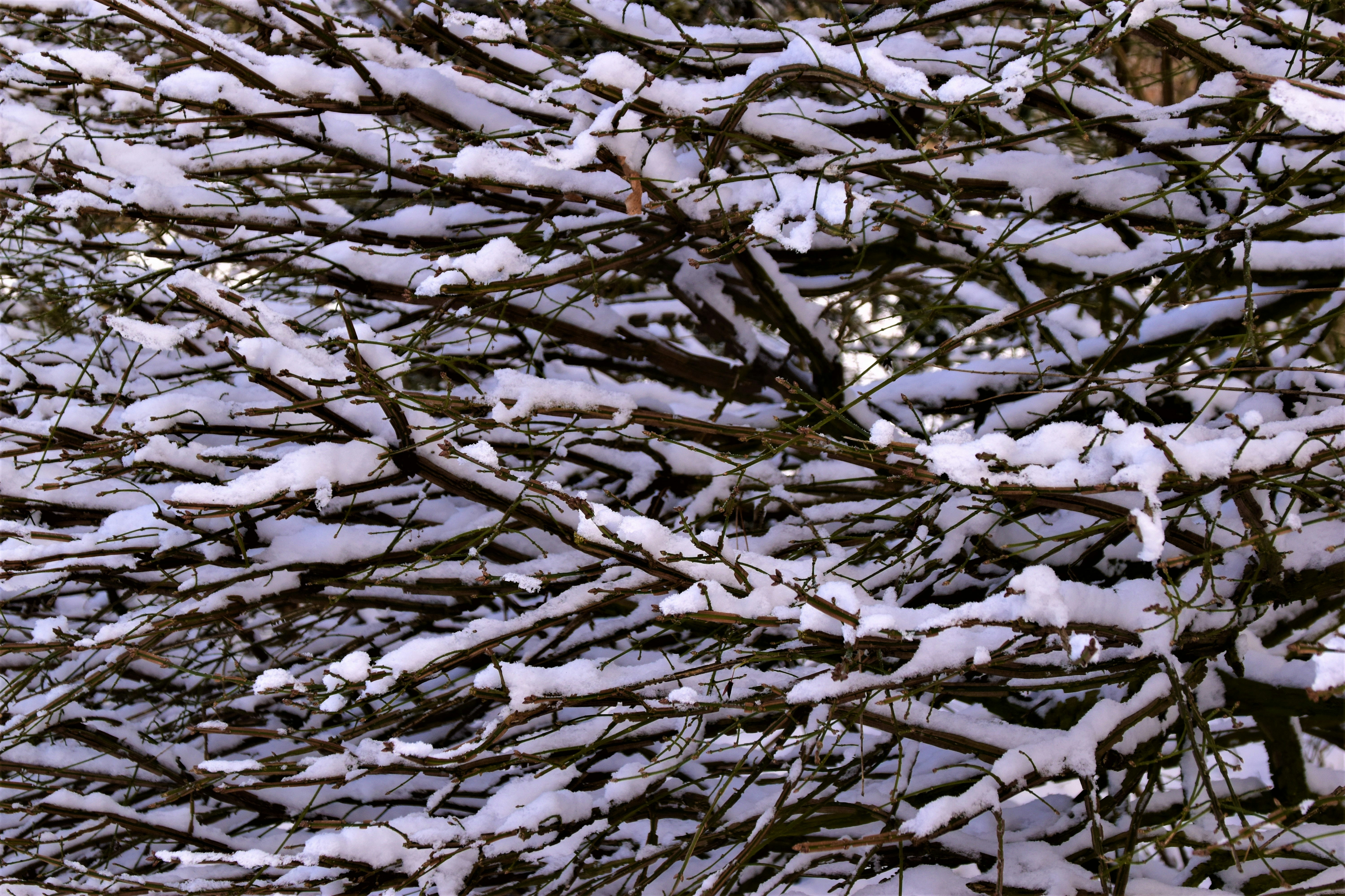 Photo by waldemarbrandt67w