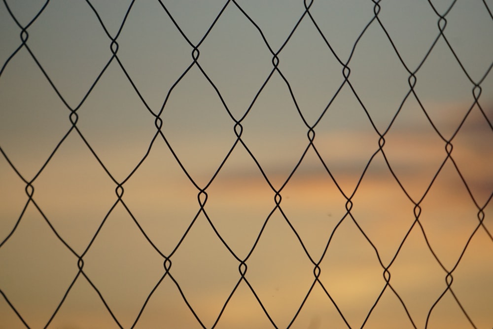 black metal fence with water droplets