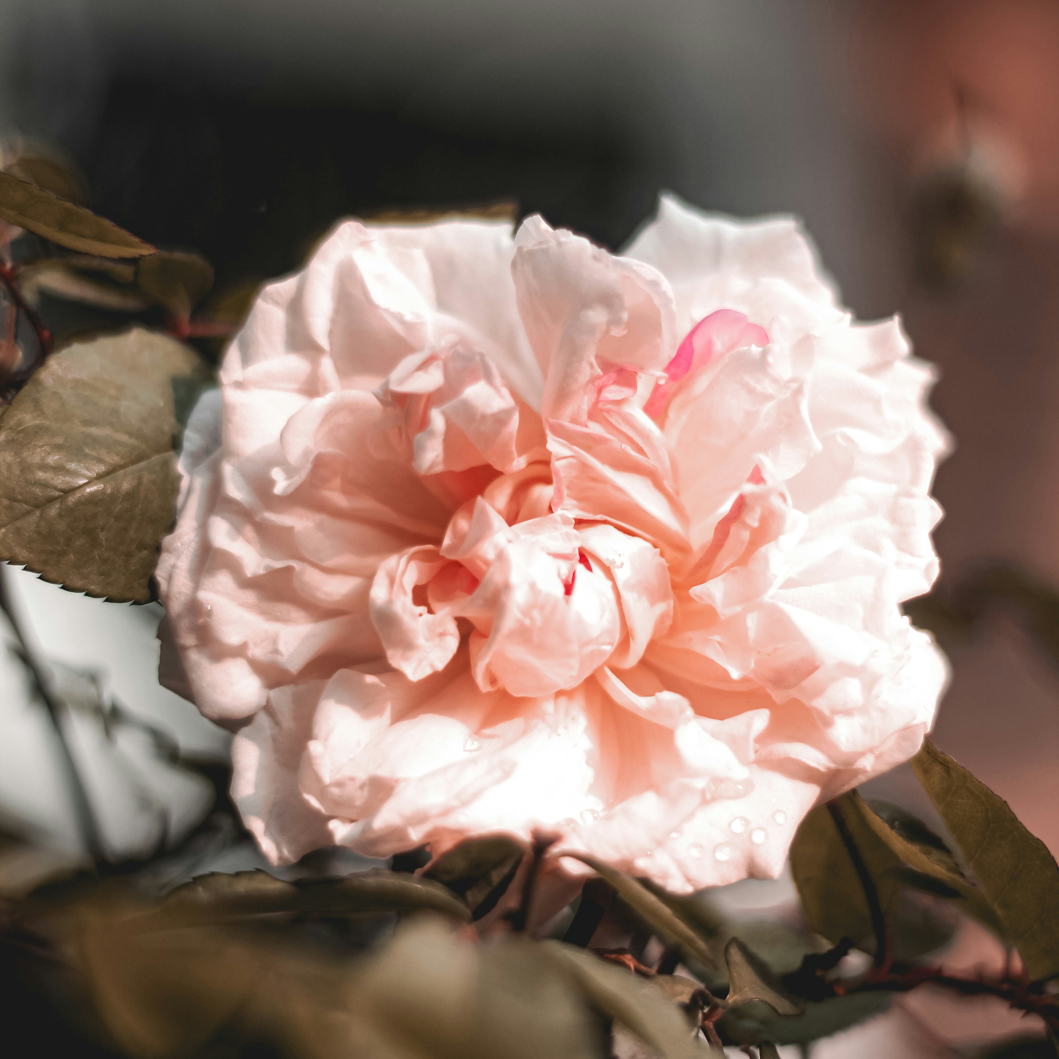 Photo by simonnguyen_