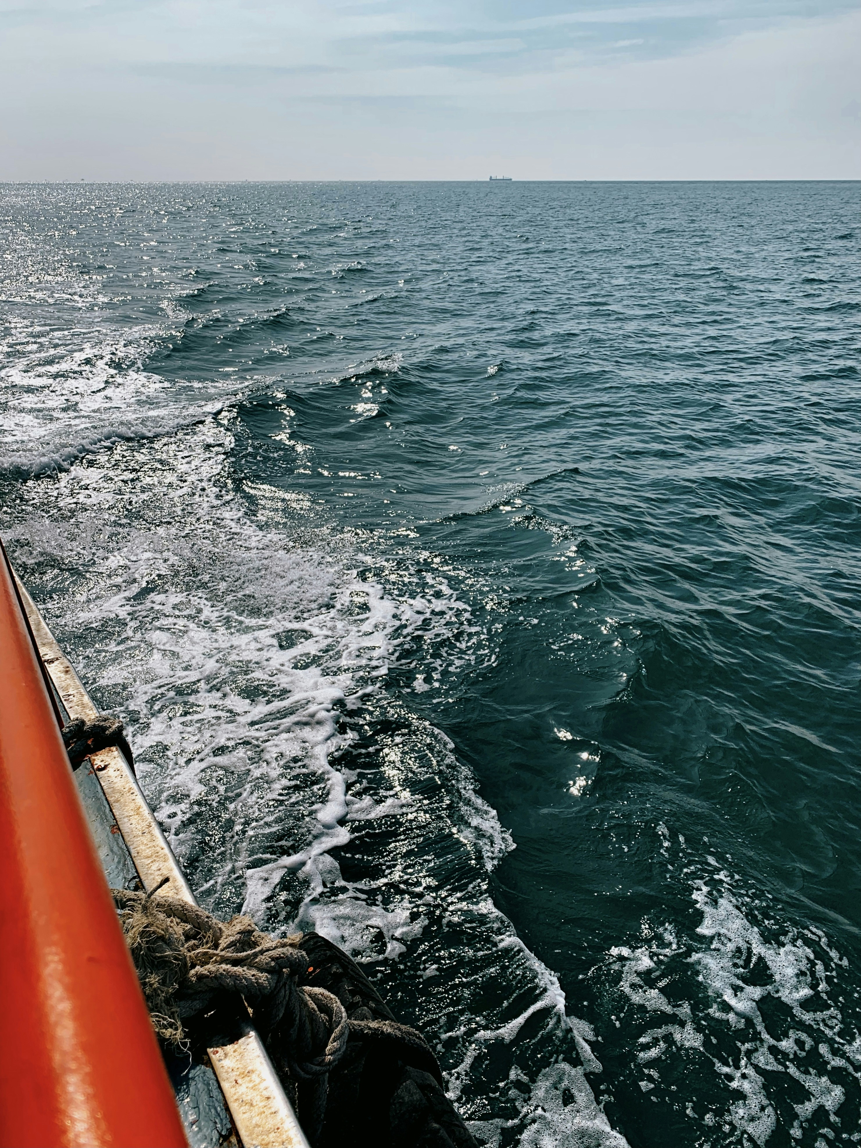 Photo by ratt_snapper