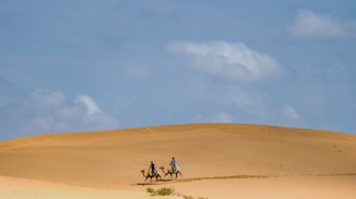 A couple enjoying a camel ride across the golden dunes of the Sahara Desert.