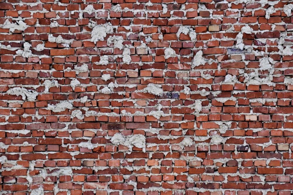 brown and white brick wall