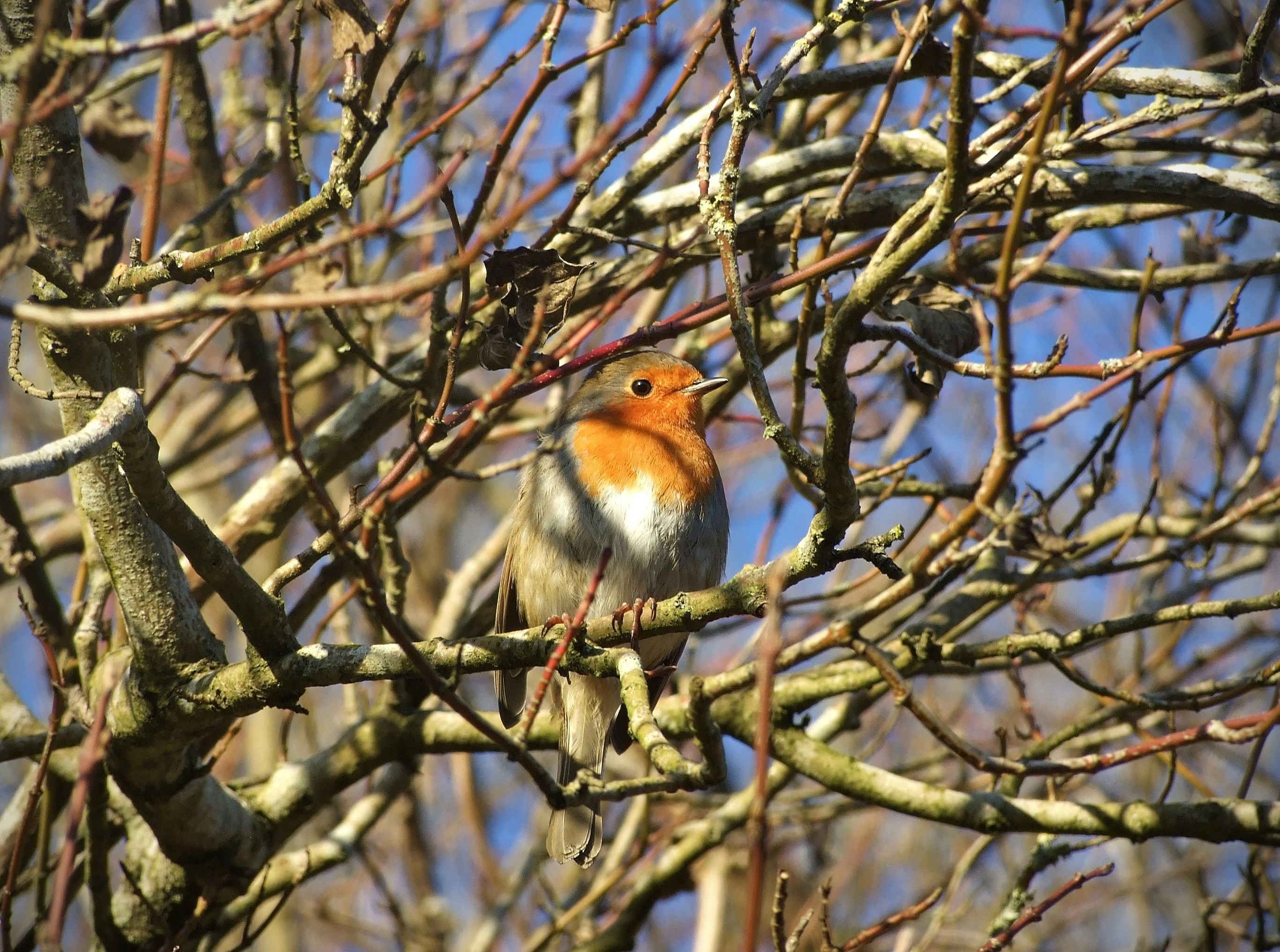 Photo by lonmcgregor