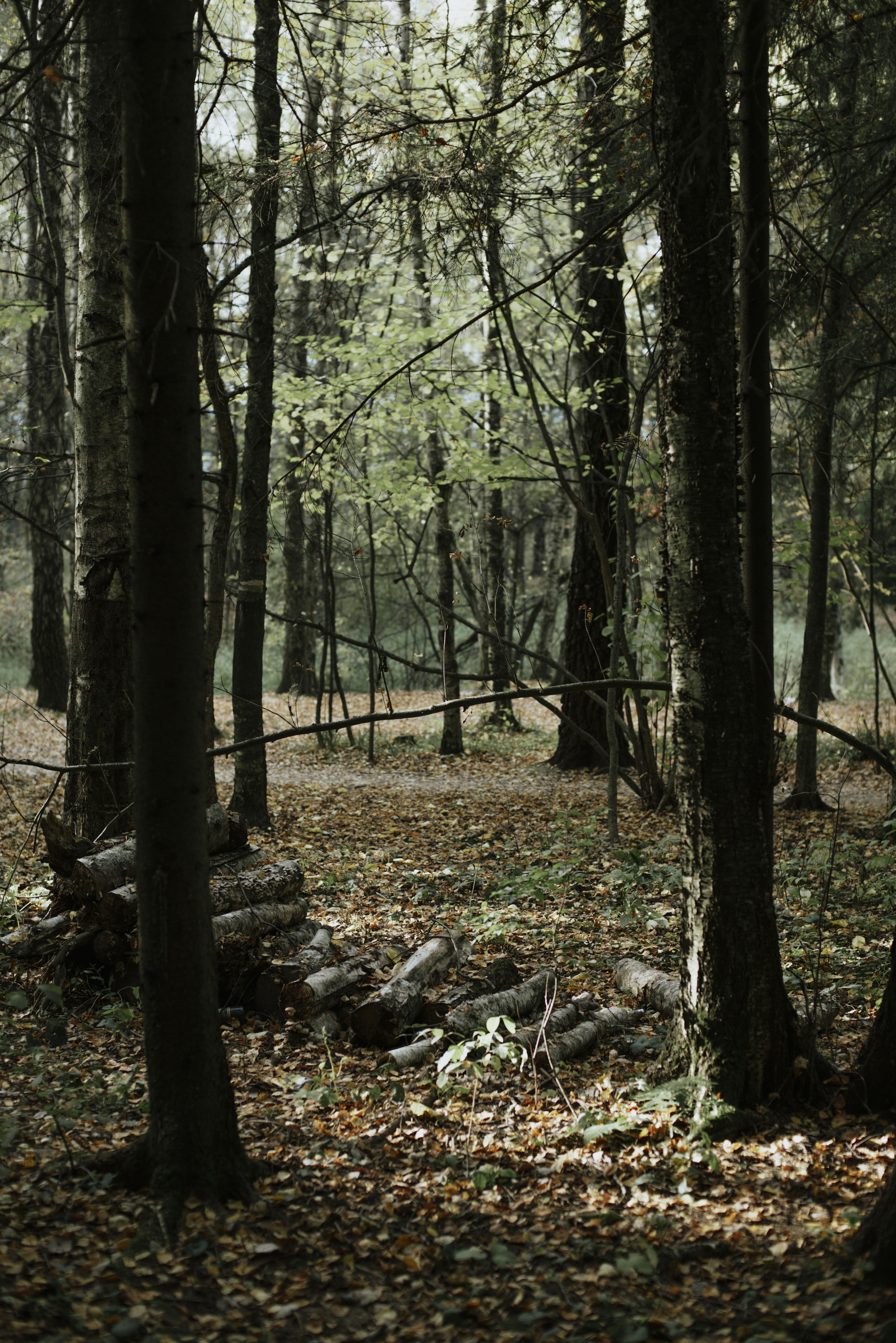 Photo by yuli_superson