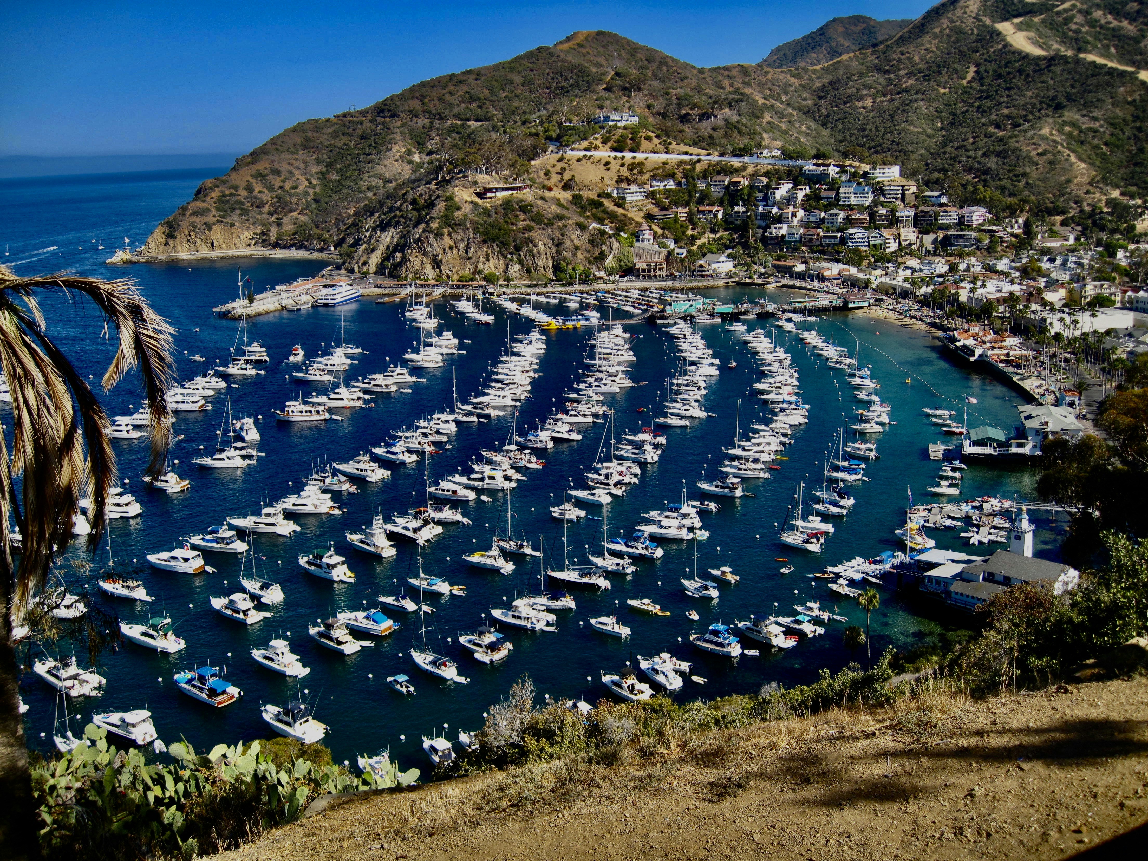 Photo by palmspringsdon