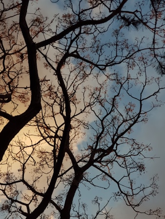 Navigating Life Transitions: A Guide to Support for Grownups