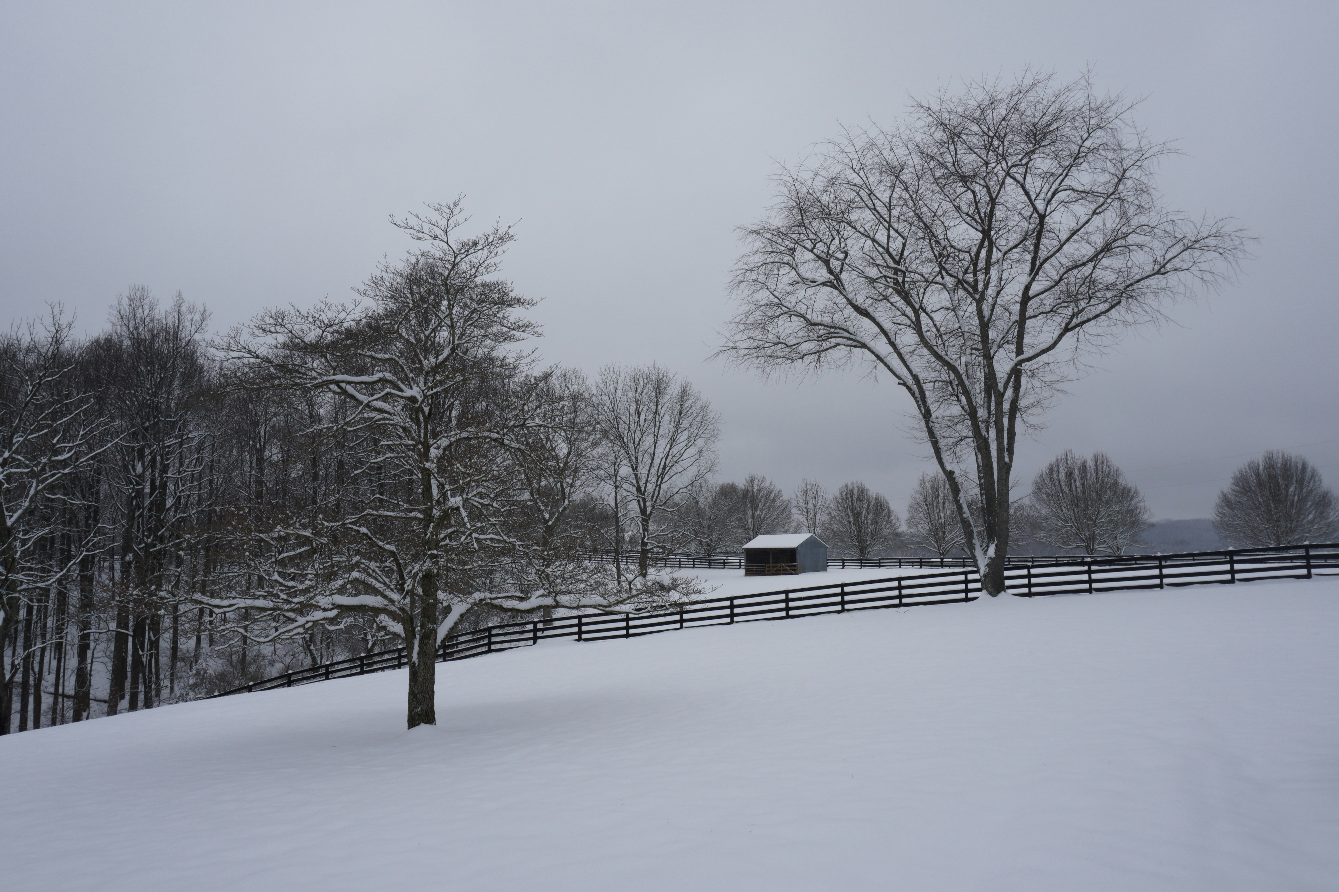 Photo by blueridgethunder