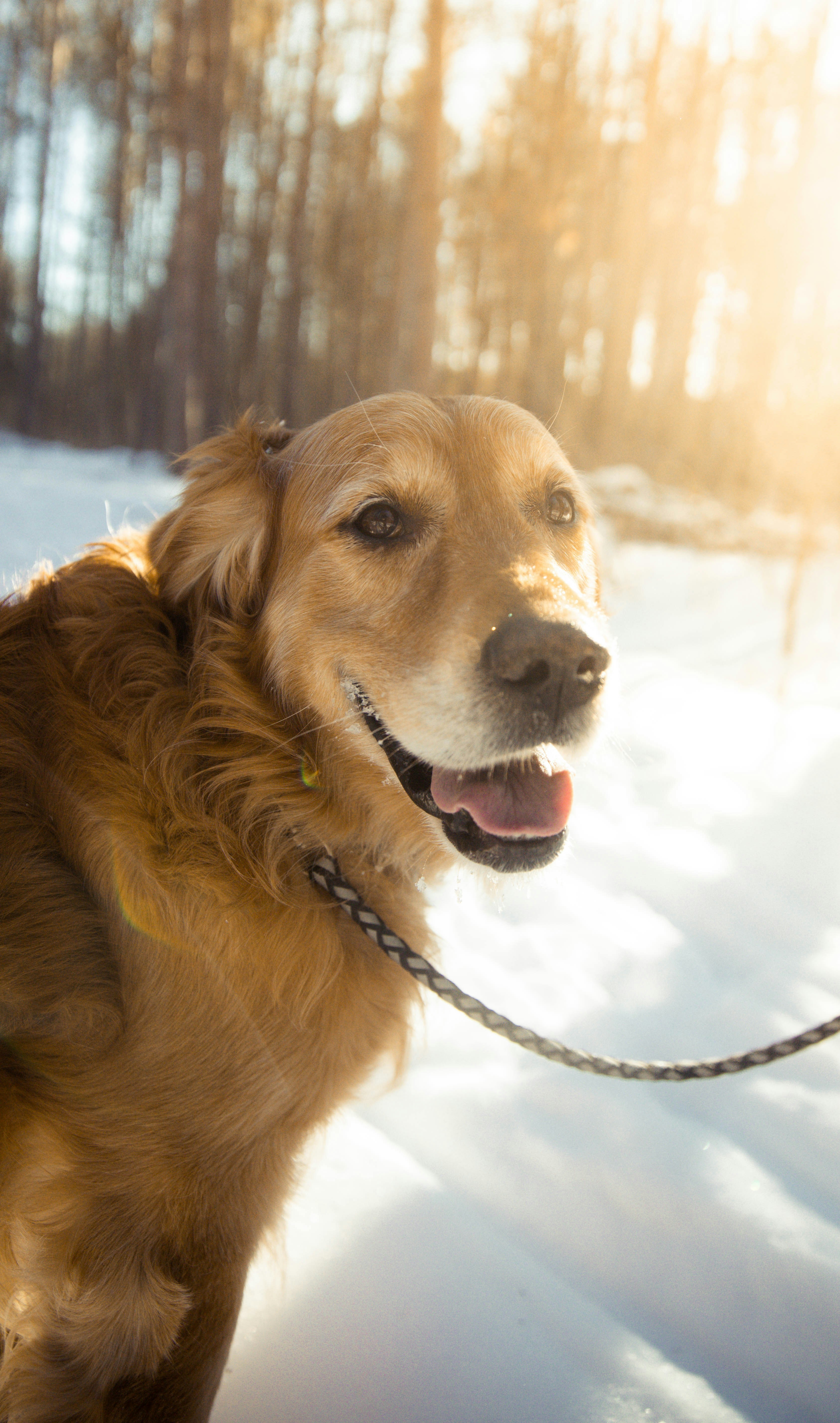 Photo by bradydrogers