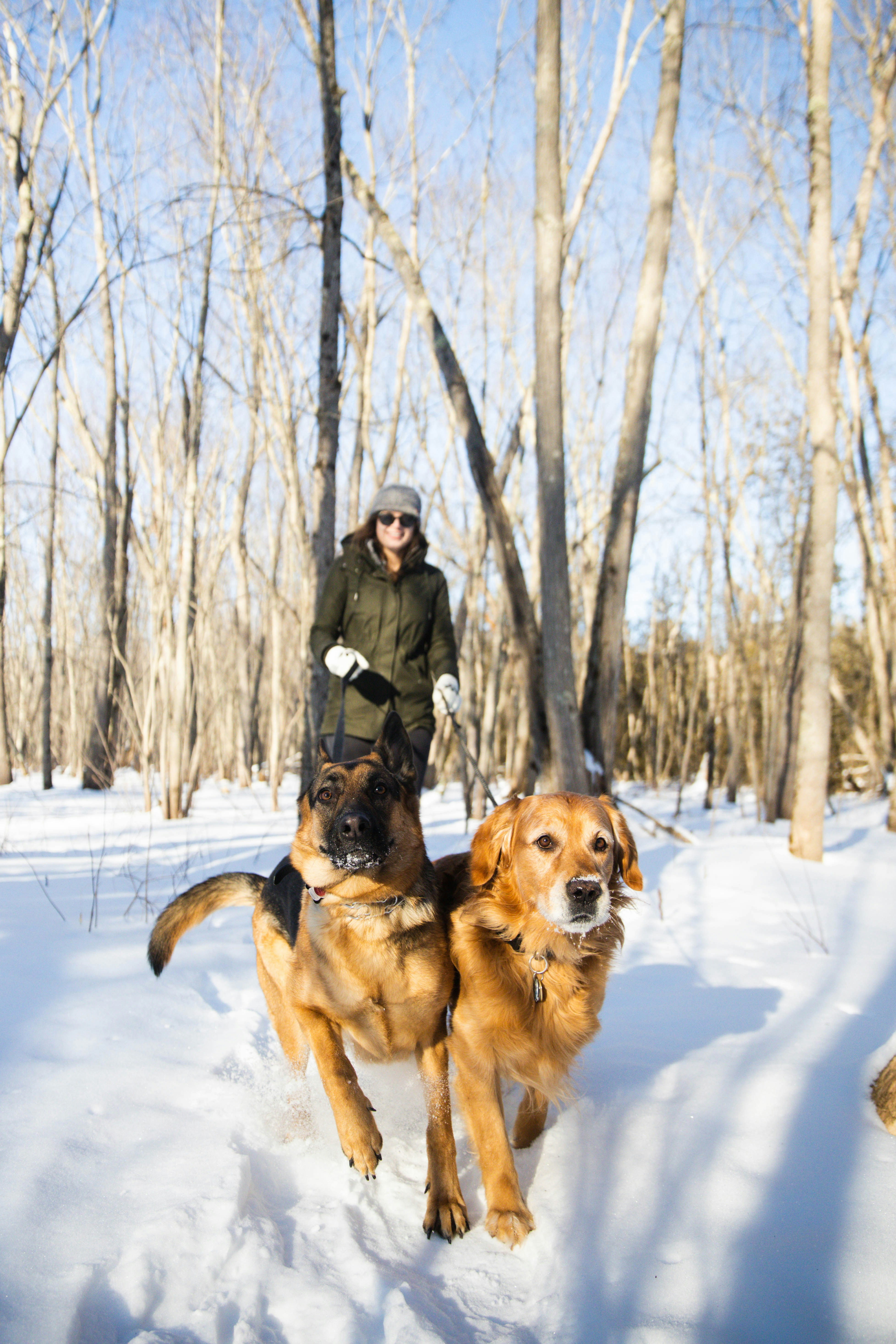 Photo by bradydrogers