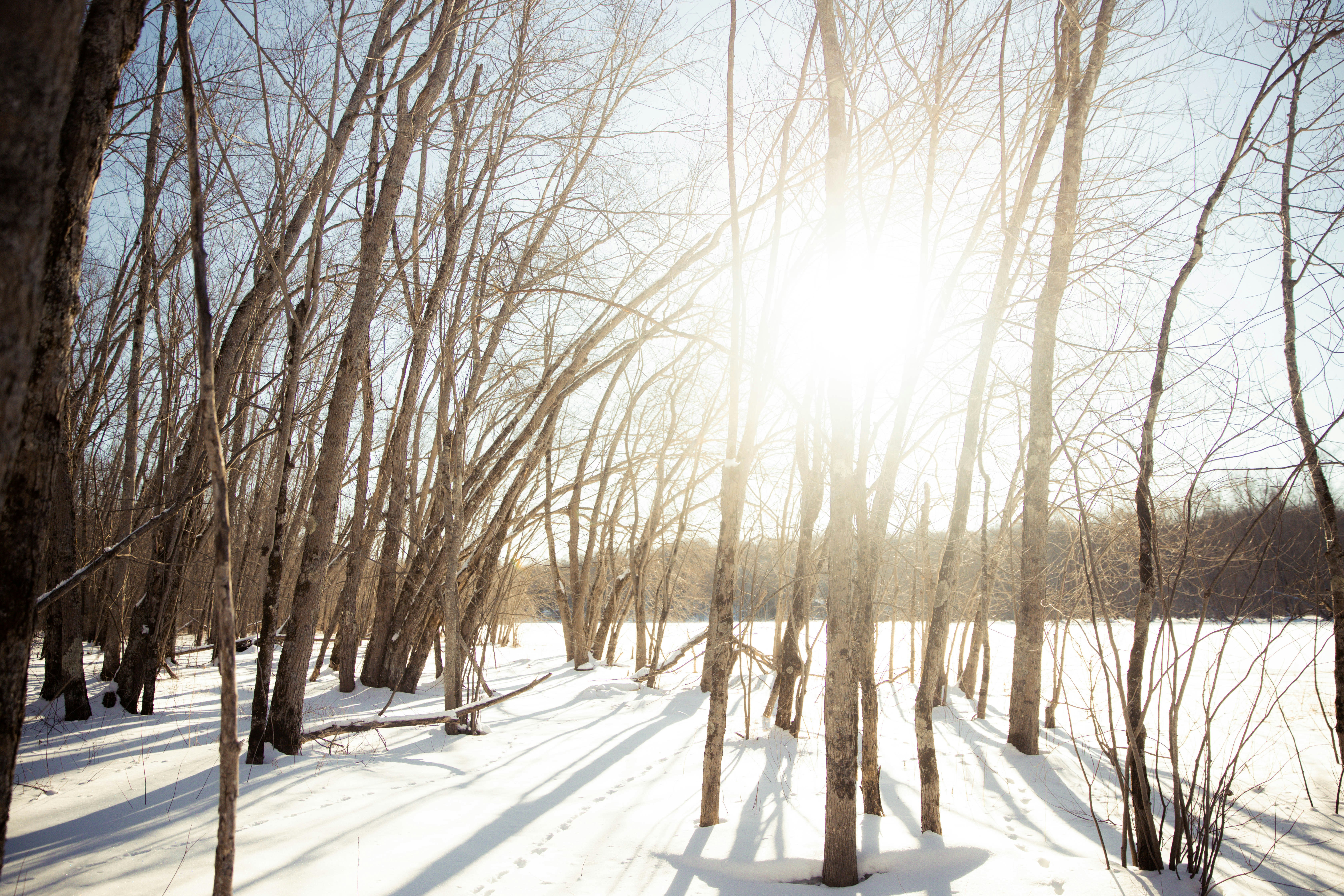 Photo by bradydrogers