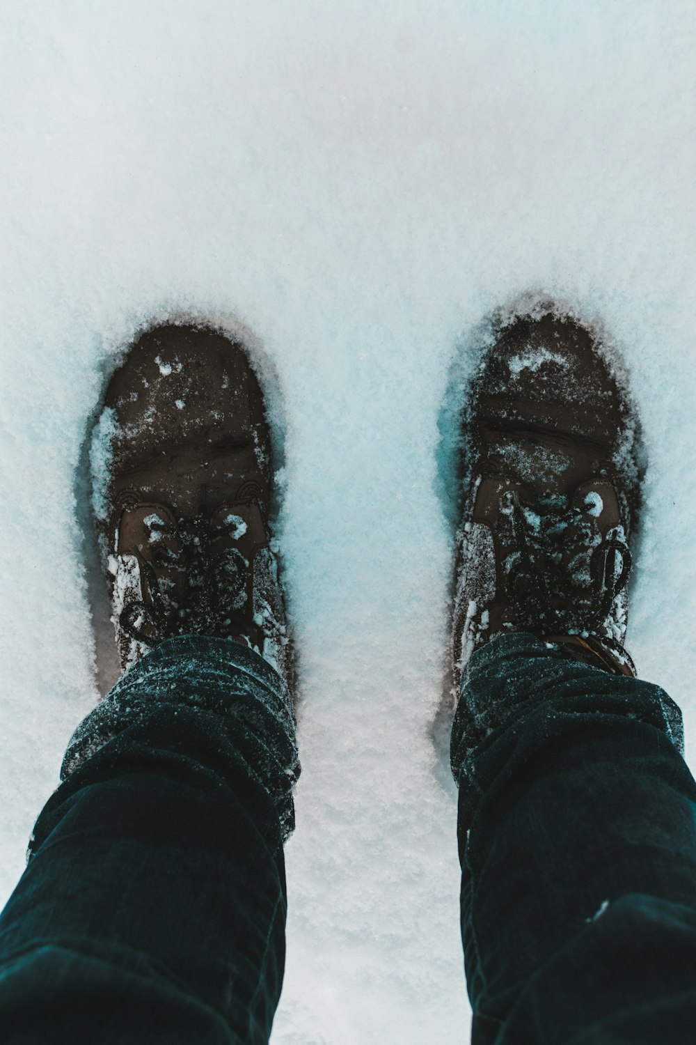雪に覆われた地面に立つ黒いズボンと黒い靴を履いた人