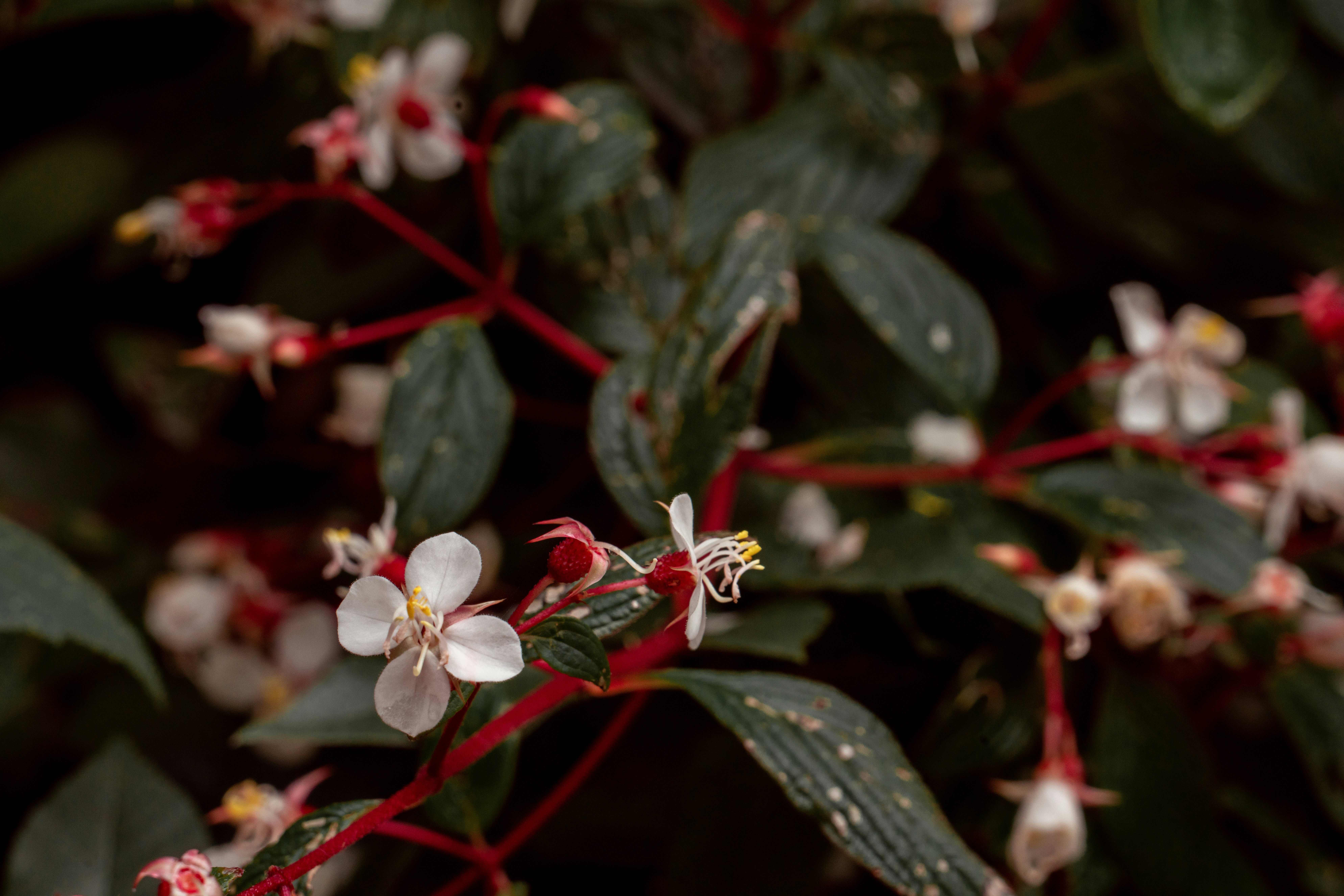 Photo by annastampfli