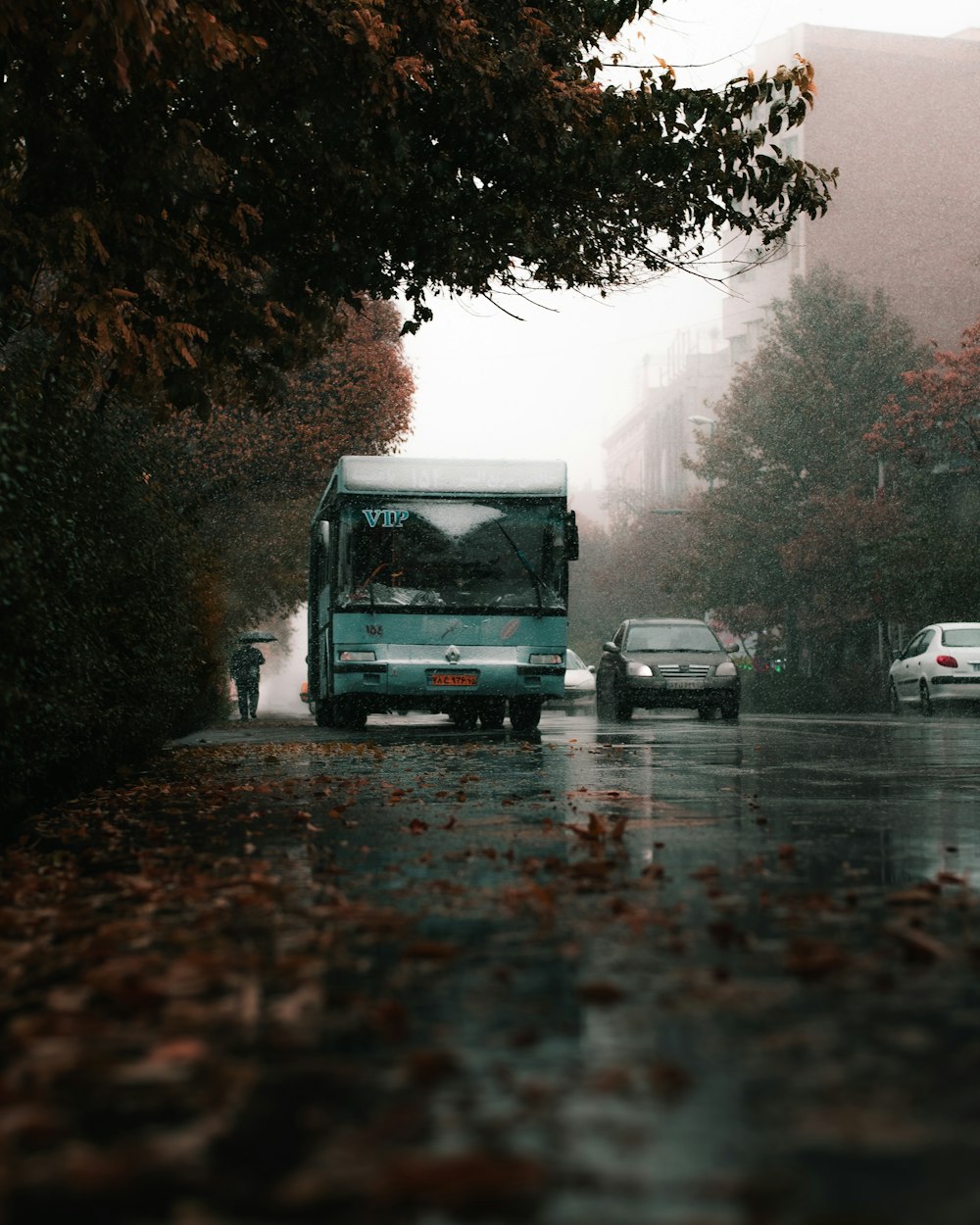 white and black bus on road during daytime