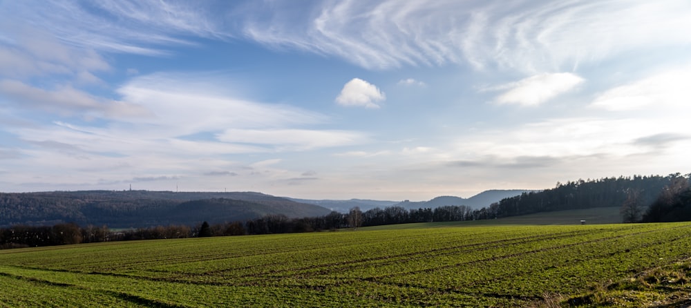 a large field of grass with mountains in the background