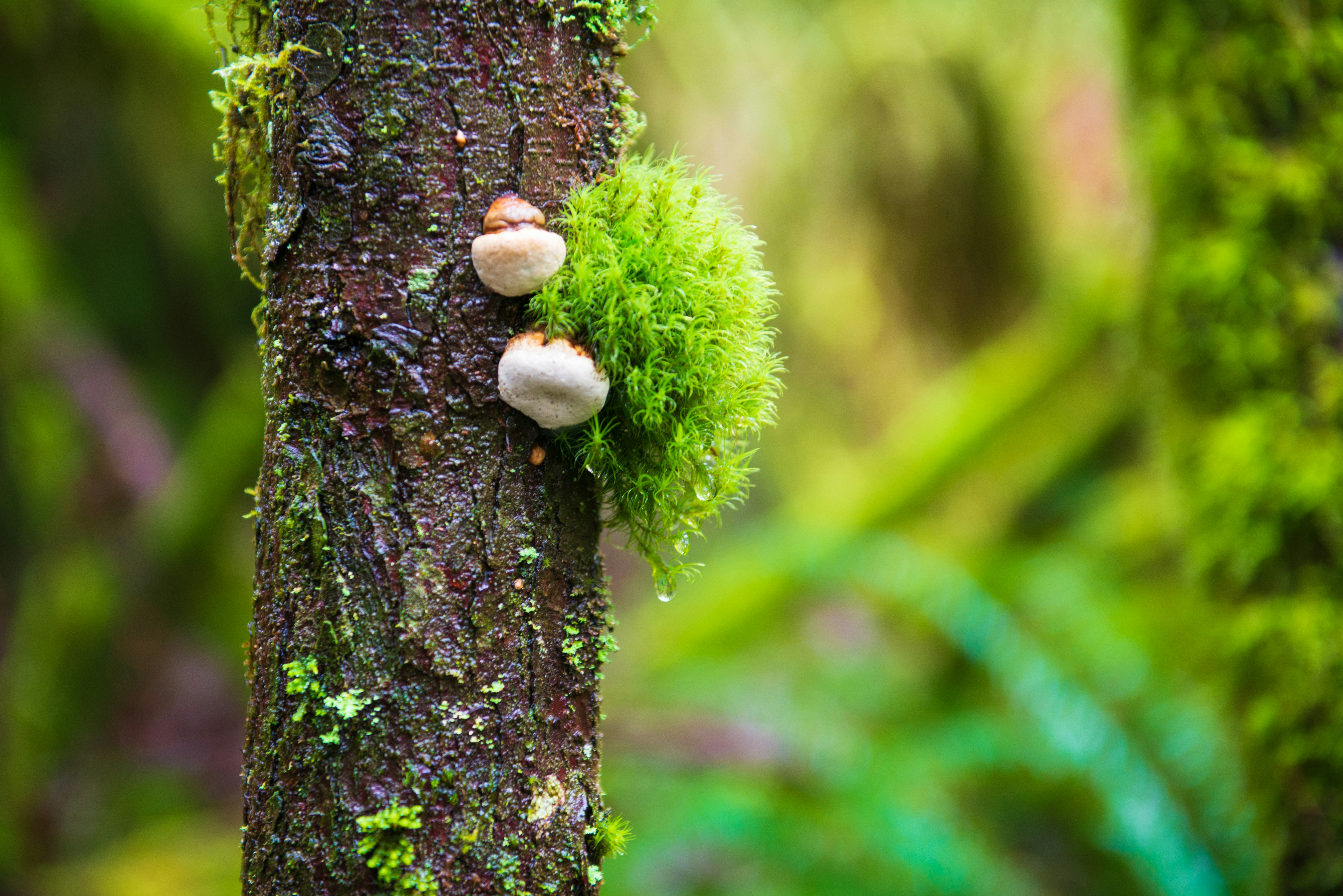 Photo by dreamcapturephotography