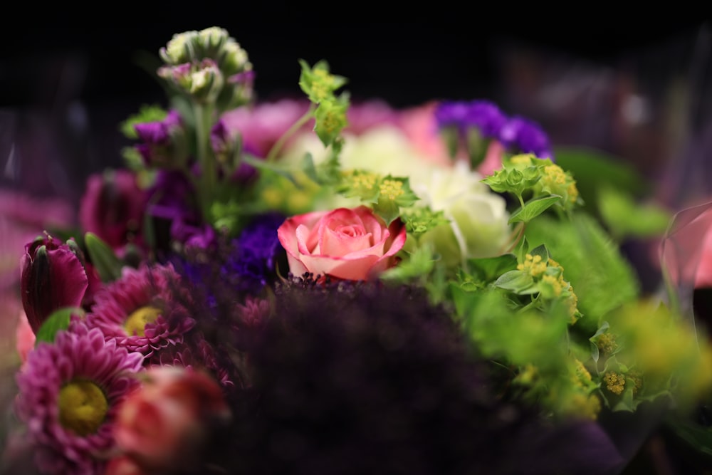 pink and white flowers with green leaves