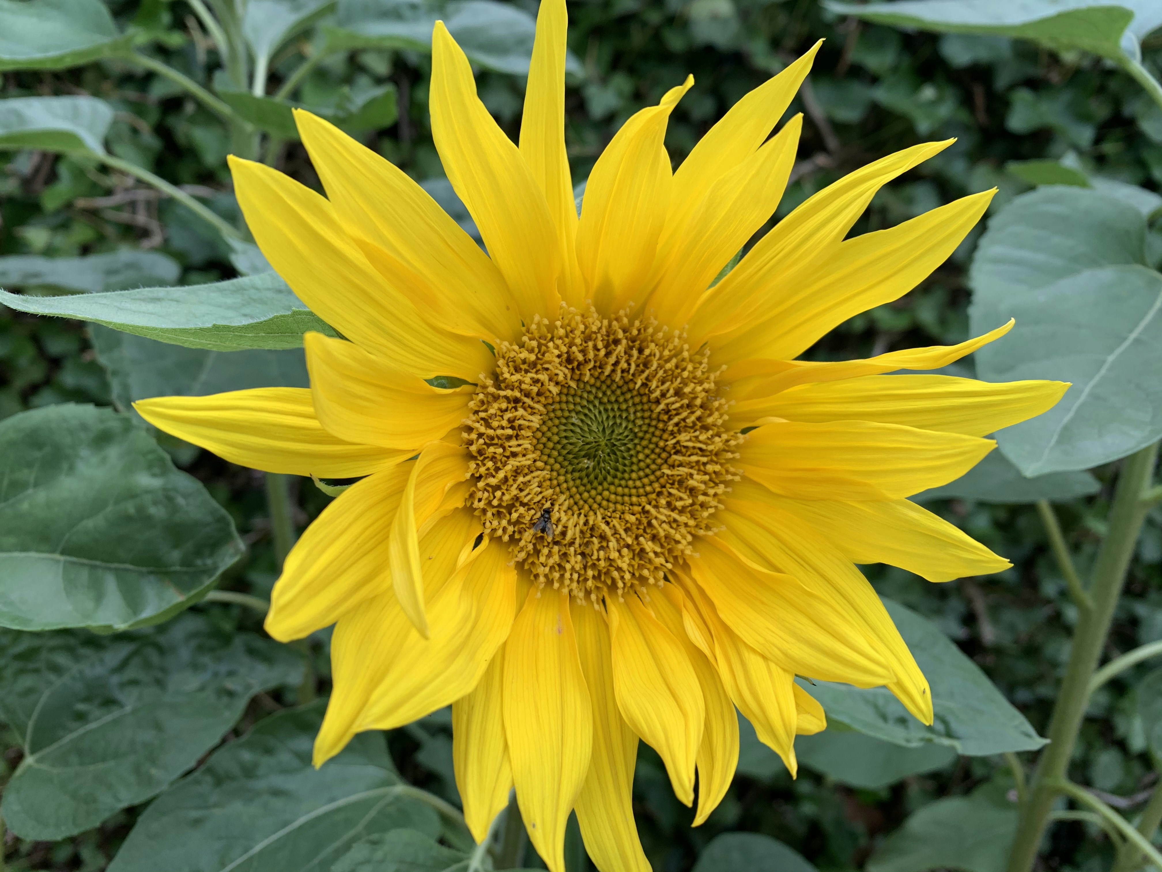 Arvind Mahajan (@arvindm) | Unsplash Photo Community