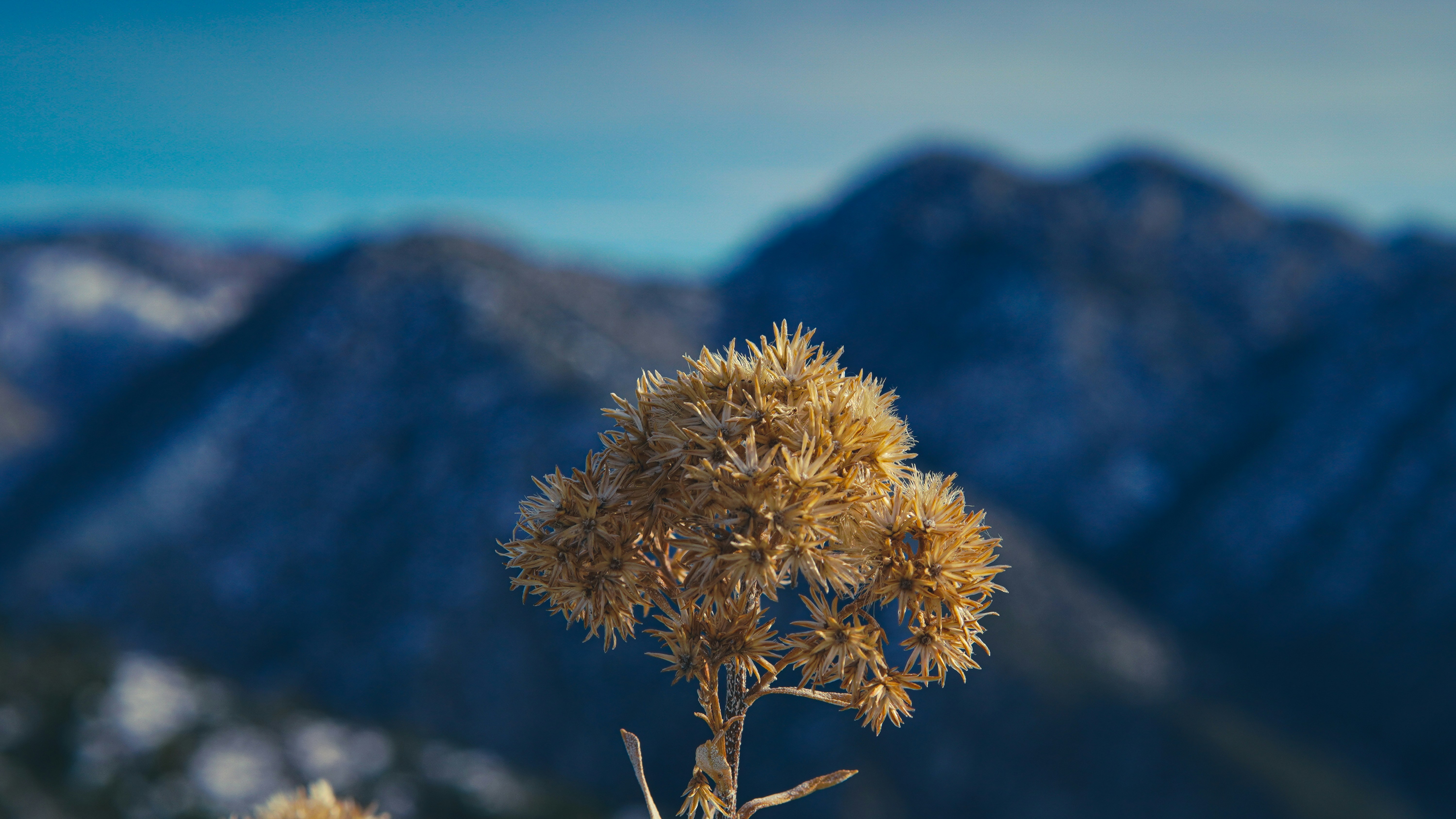 Photo by kindandcurious