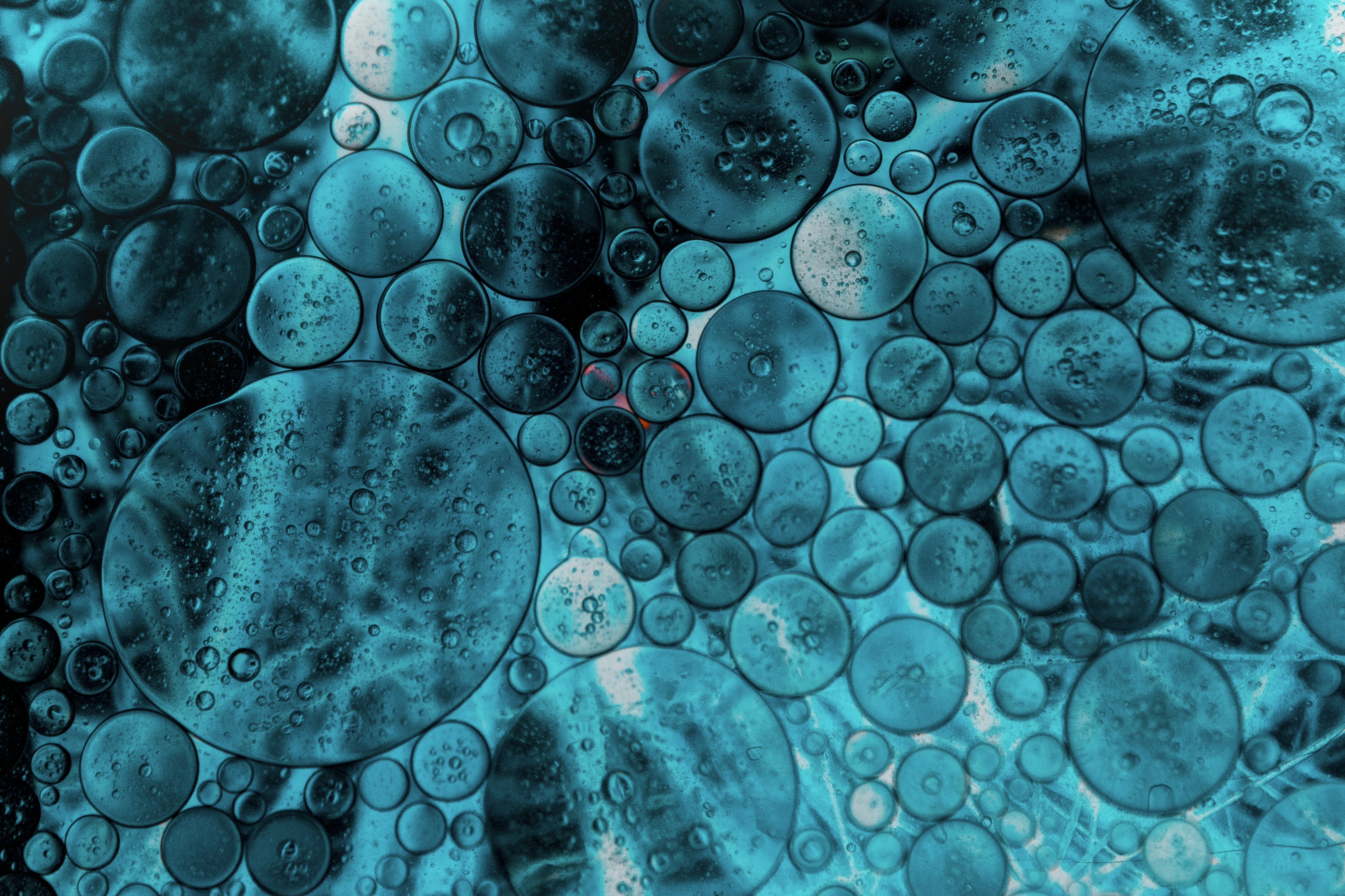 750 Aqua Pictures Download Free Images On Unsplash