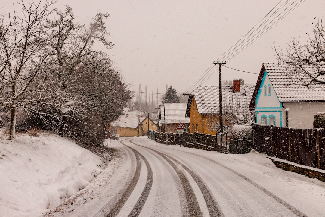 red and yellow train on rail road covered with snow