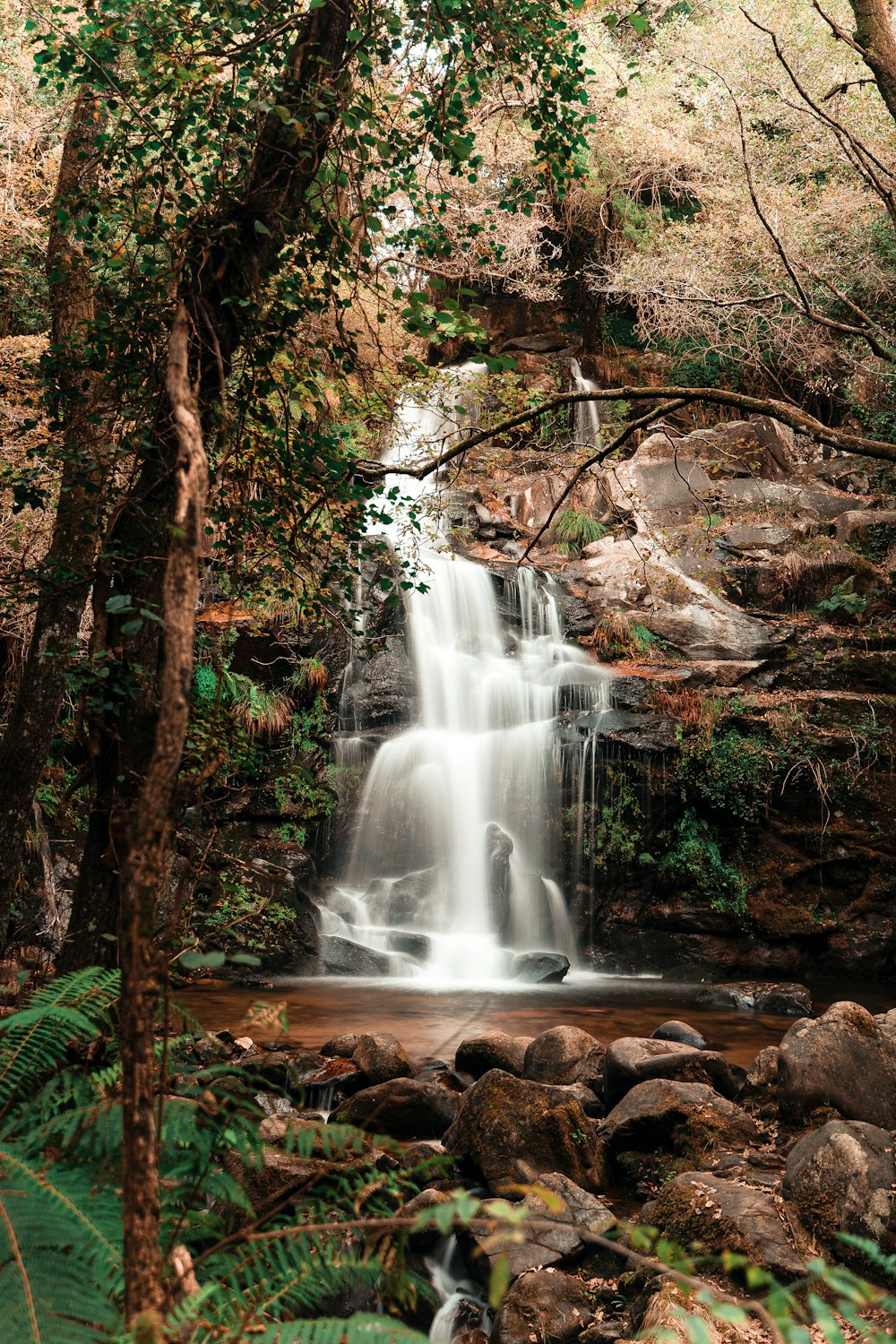 waterfalls in the middle of the forest