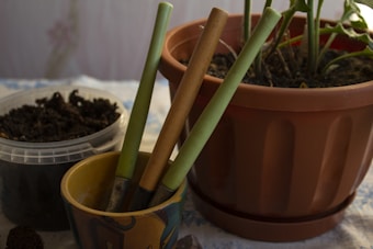 A collection of gardening tools rests in a small ceramic pot beside a larger plant pot filled with soil and green stems. A plastic container with soil is placed nearby. The scene suggests an indoor gardening setup with a focus on planting or potting activities.