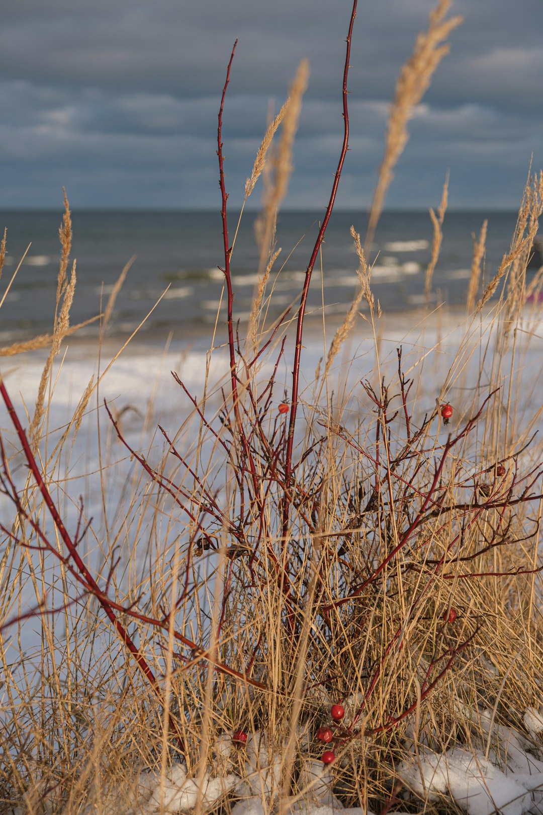 Ecoregion photo spot Klapkalnciems Latvia