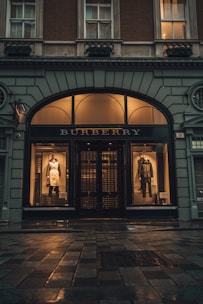 brown wooden door with black steel gate