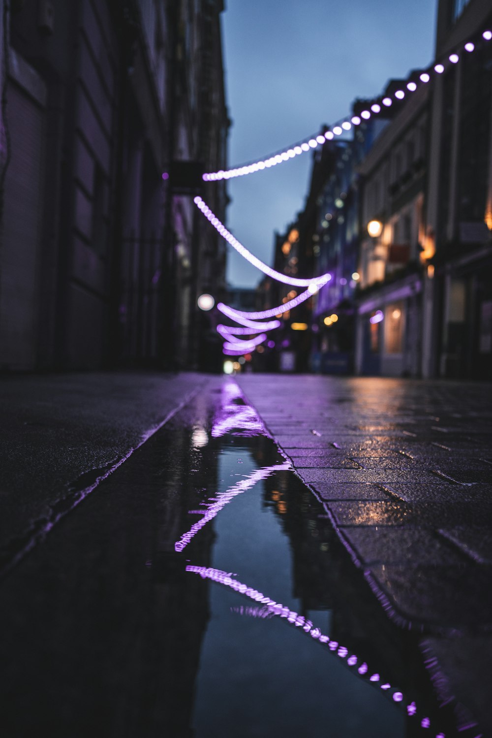 purple and blue string lights on road during night time