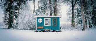 blue and white wooden house surrounded by snow covered trees during daytime