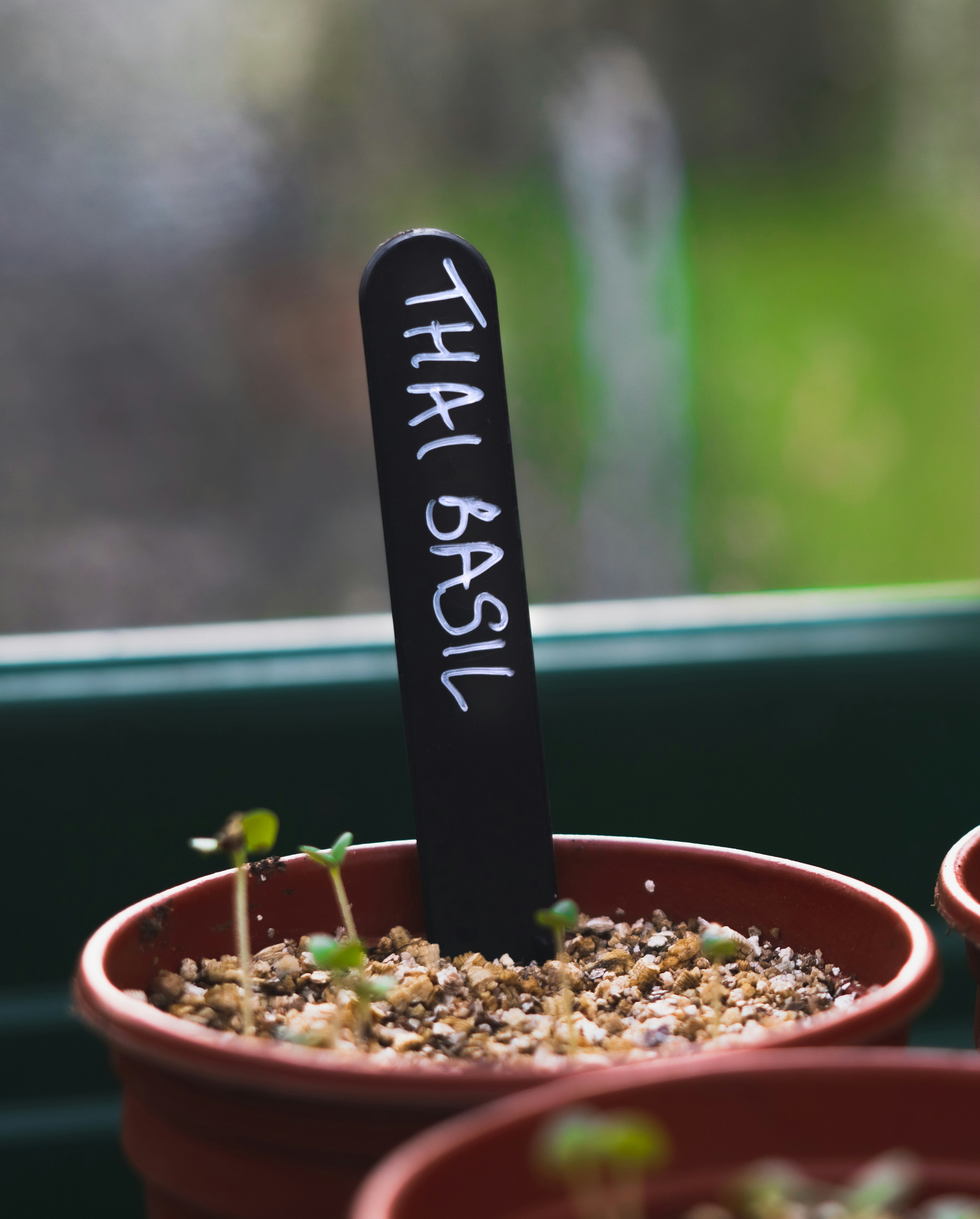 TRL: THREE GREEN THINGS