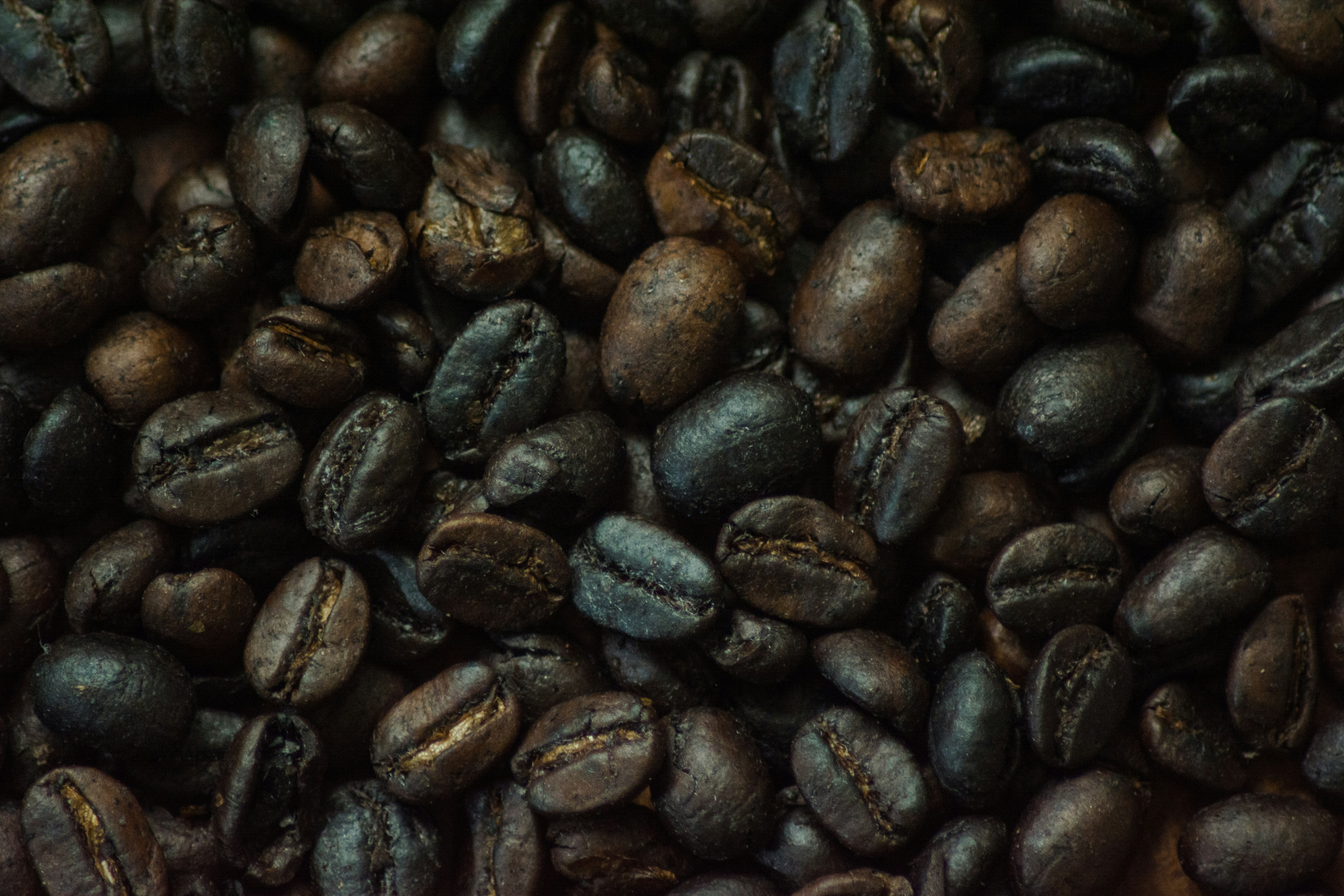 Photo by faustomarques