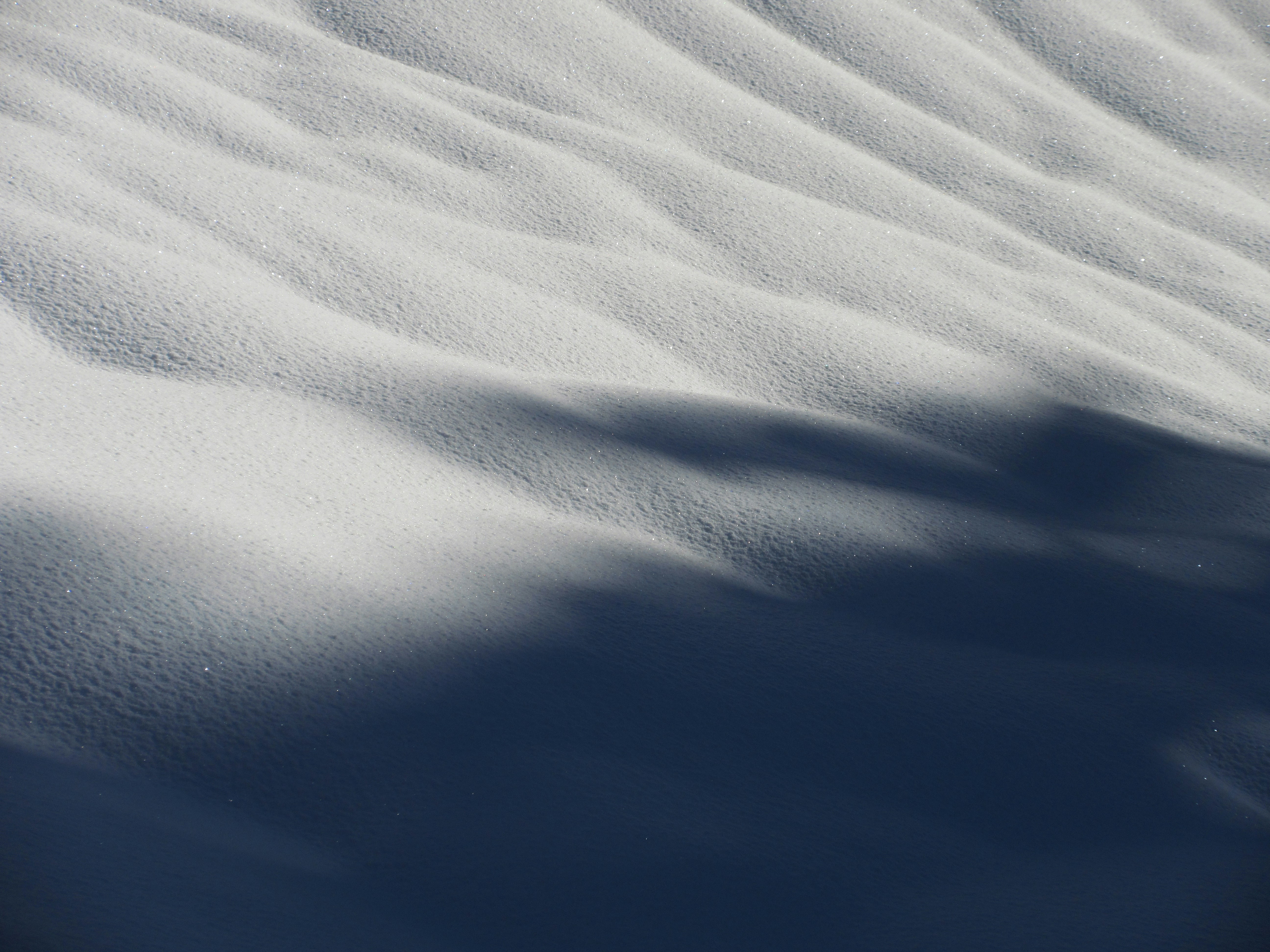 Photo by mind_the_gap