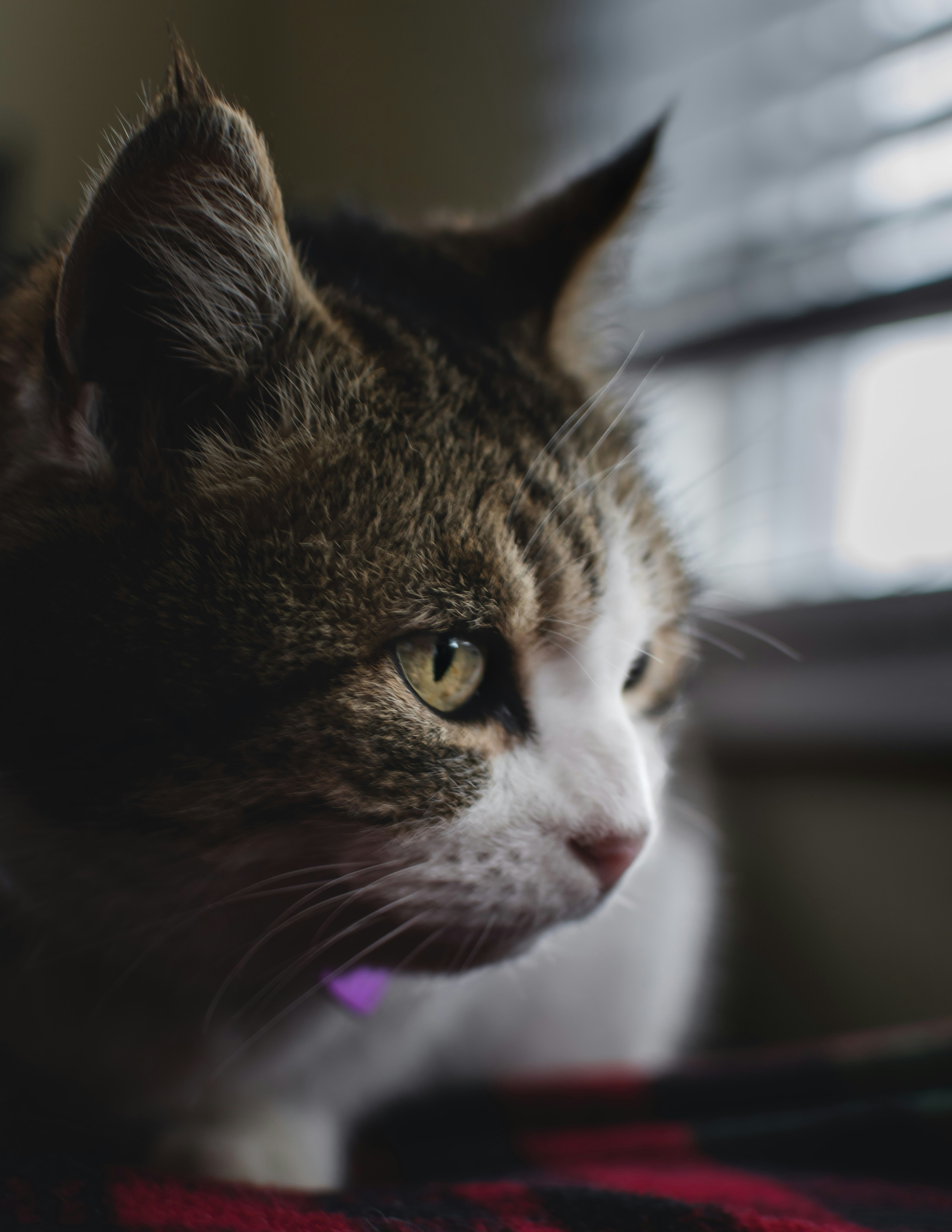 Photo by avillaalegria