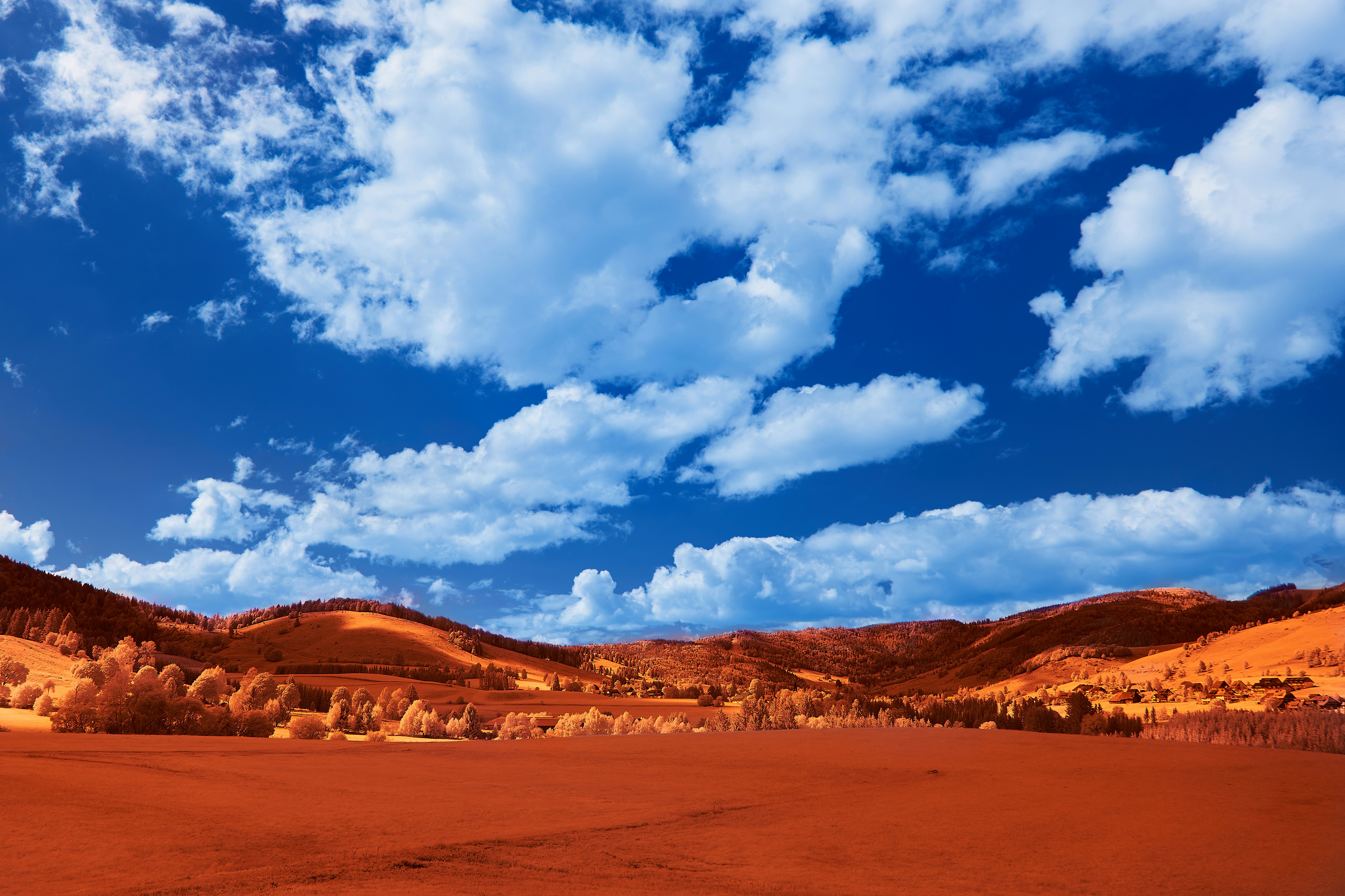 Photo by wolfgang_hasselmann